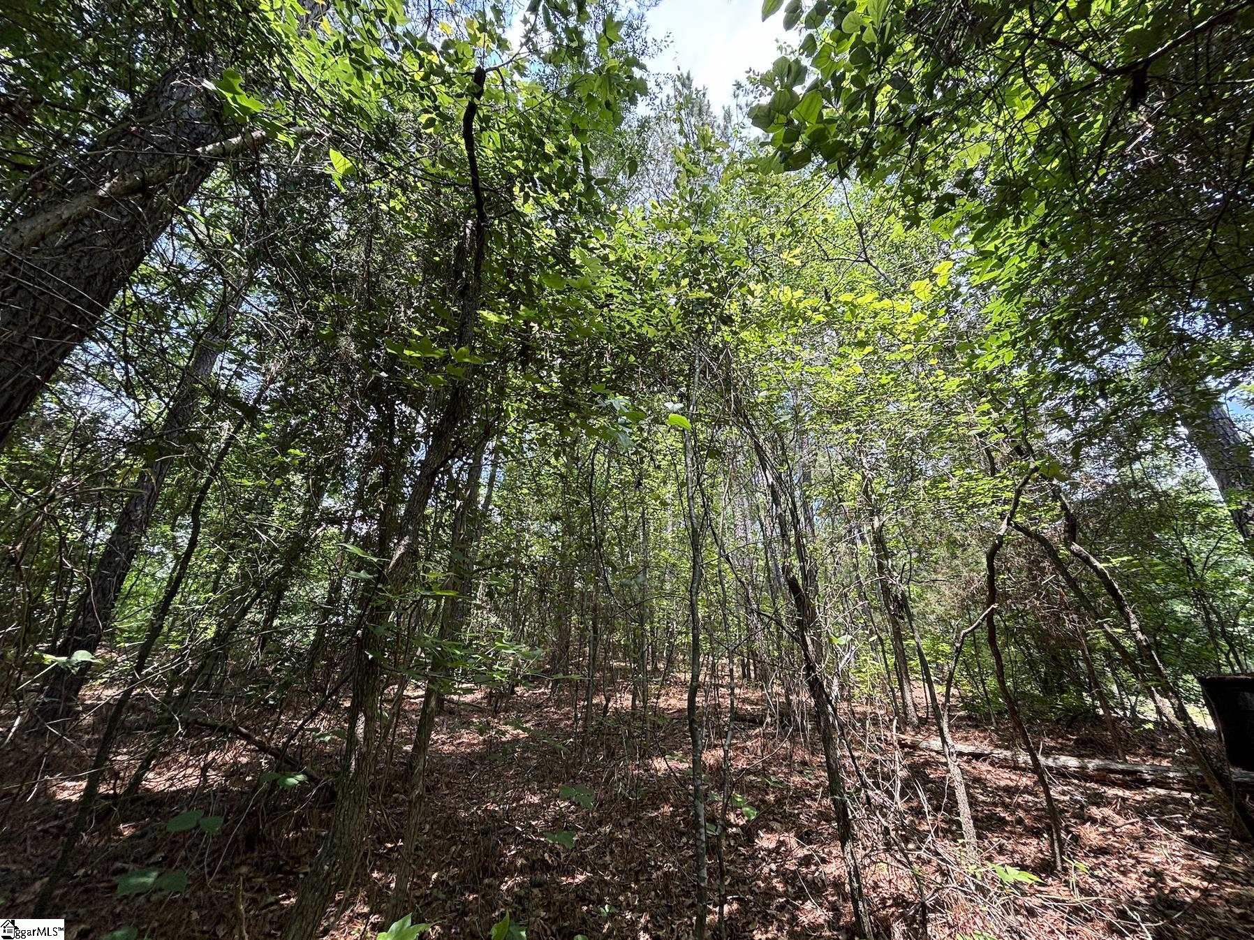 00 Serene Drive Waterloo, SC 29384