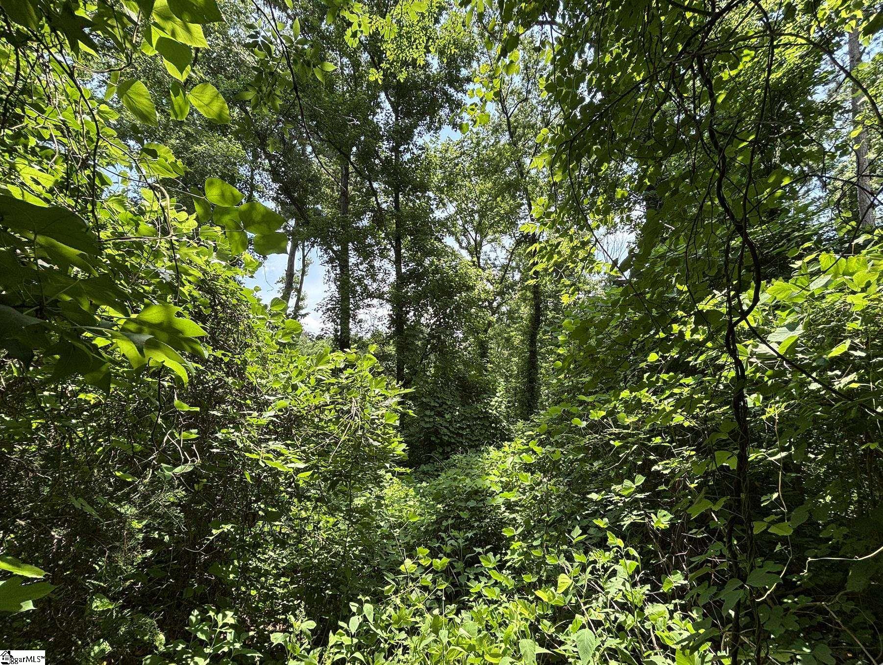 00 Serene Drive Waterloo, SC 29384