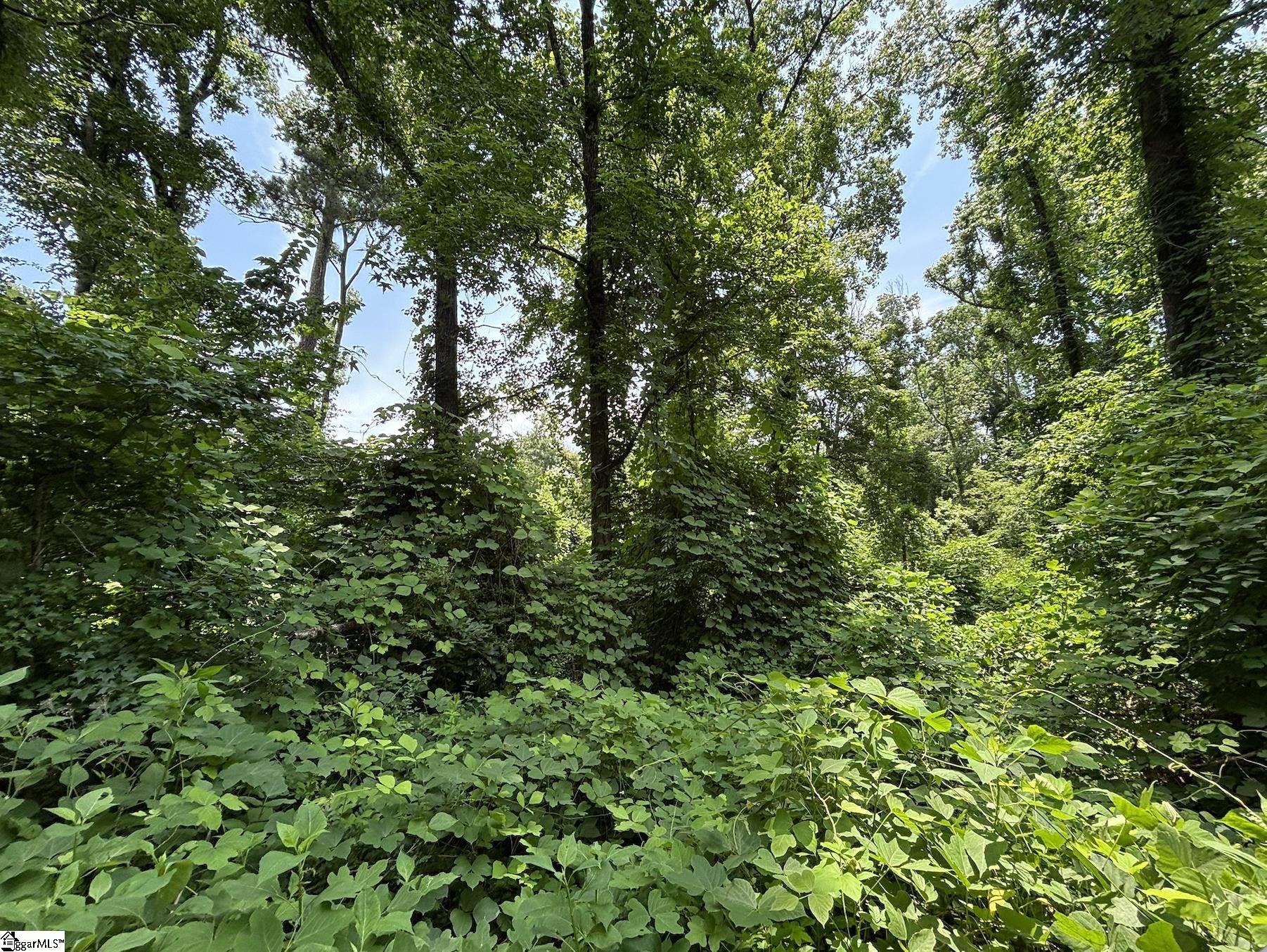 00 Serene Drive Waterloo, SC 29384