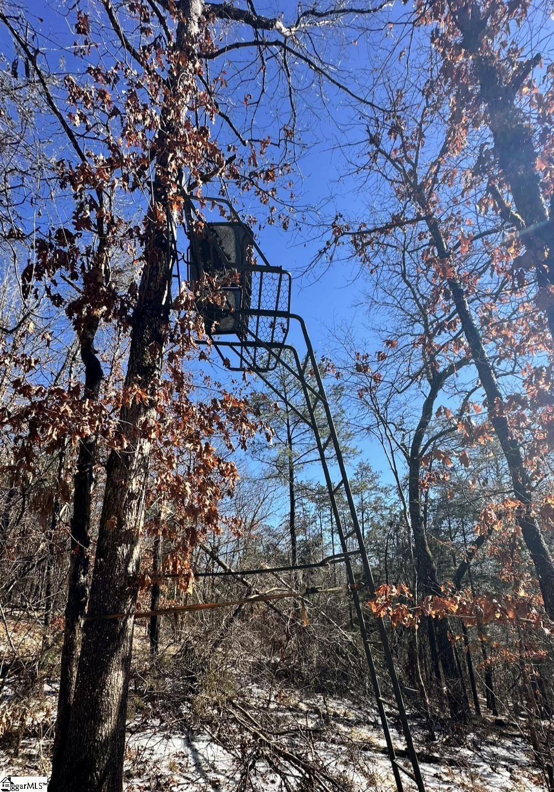 145 Night Sky Drive Pickens, SC 29671
