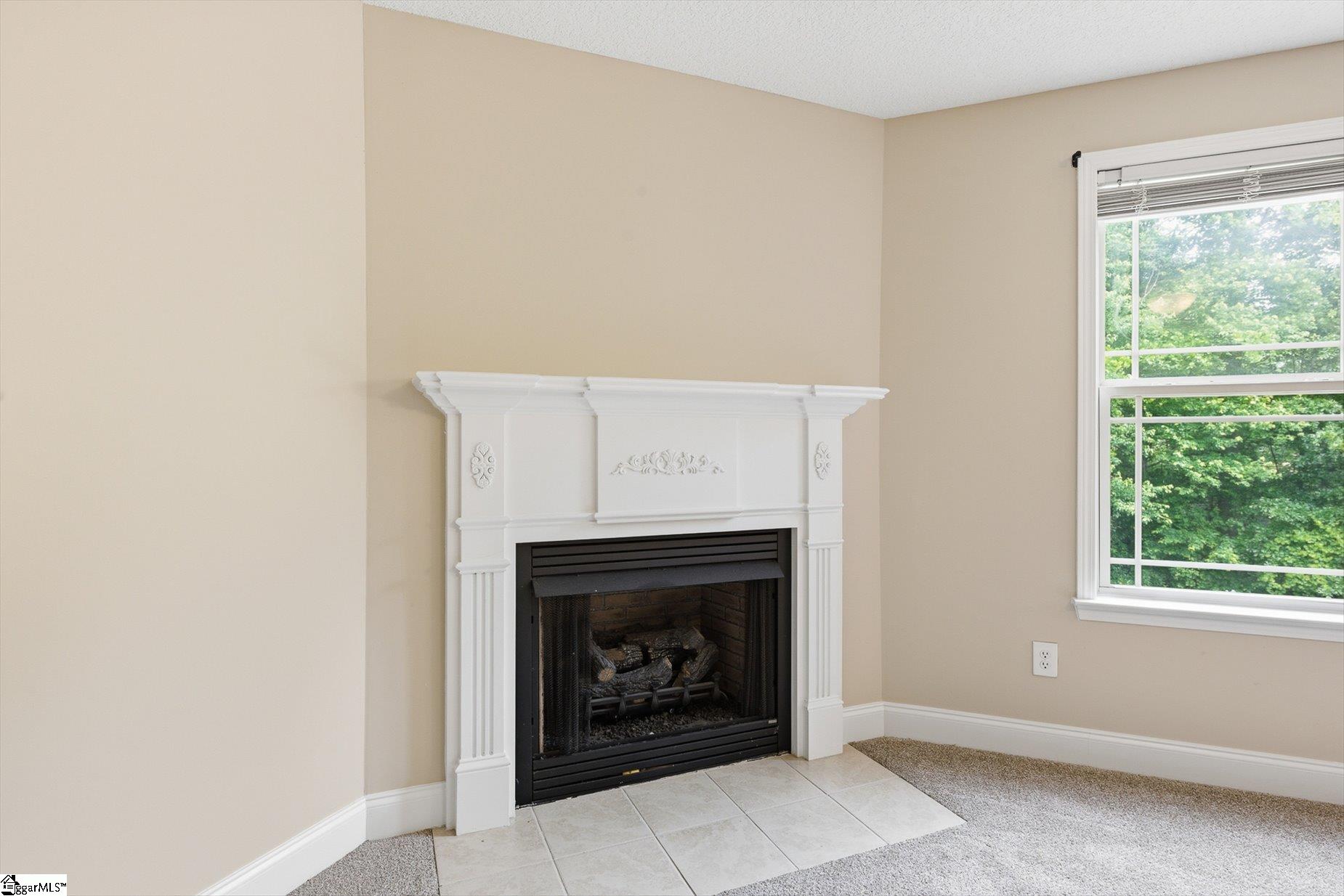 101 Tigris Way Greenville, SC 29607