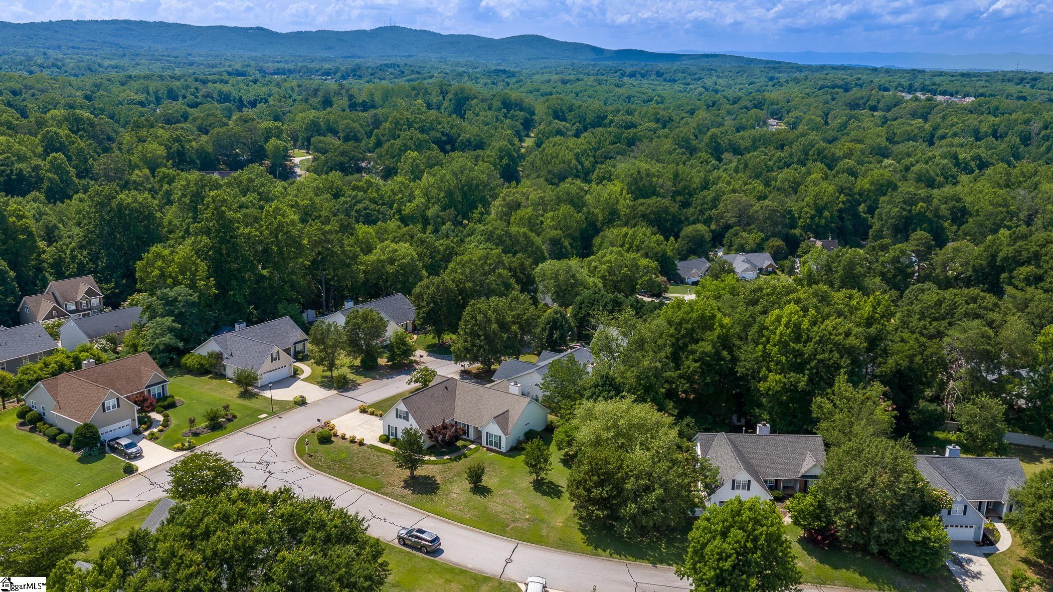 1 Boysenberry Drive Taylors, SC 29687