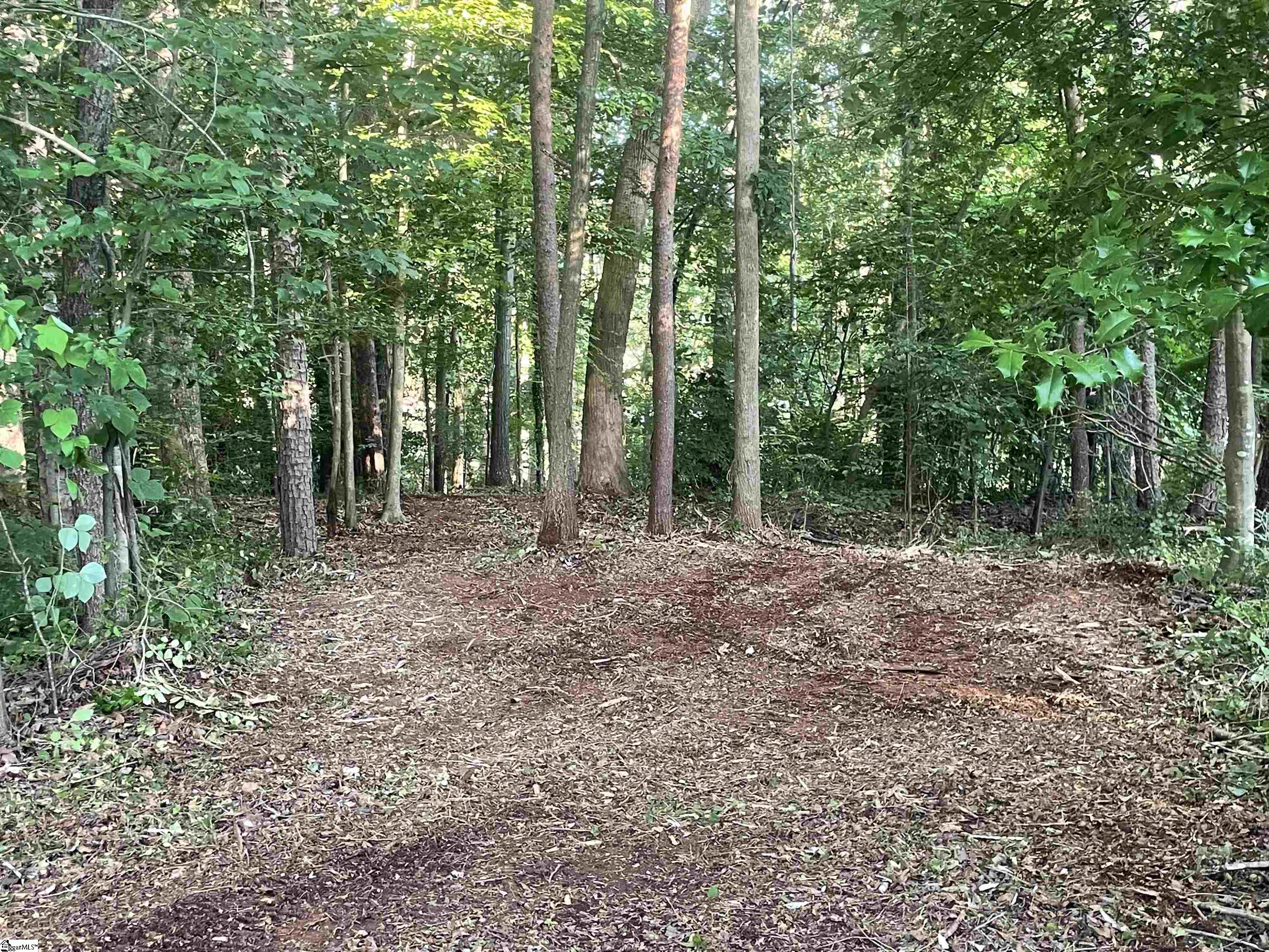 206 Park Road Townville, SC 29689