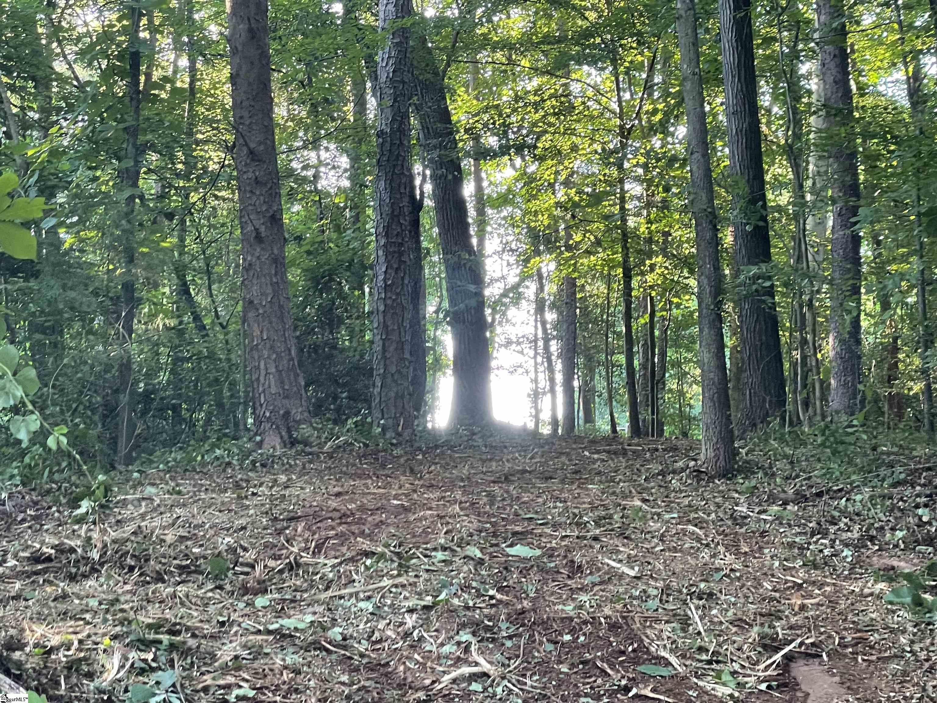 206 Park Road Townville, SC 29689