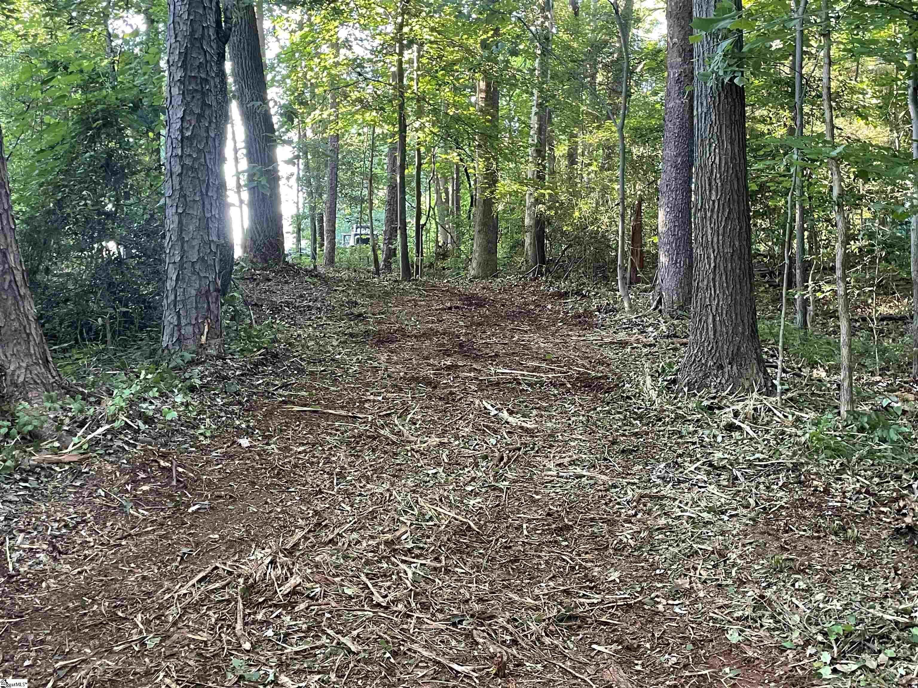 206 Park Road Townville, SC 29689