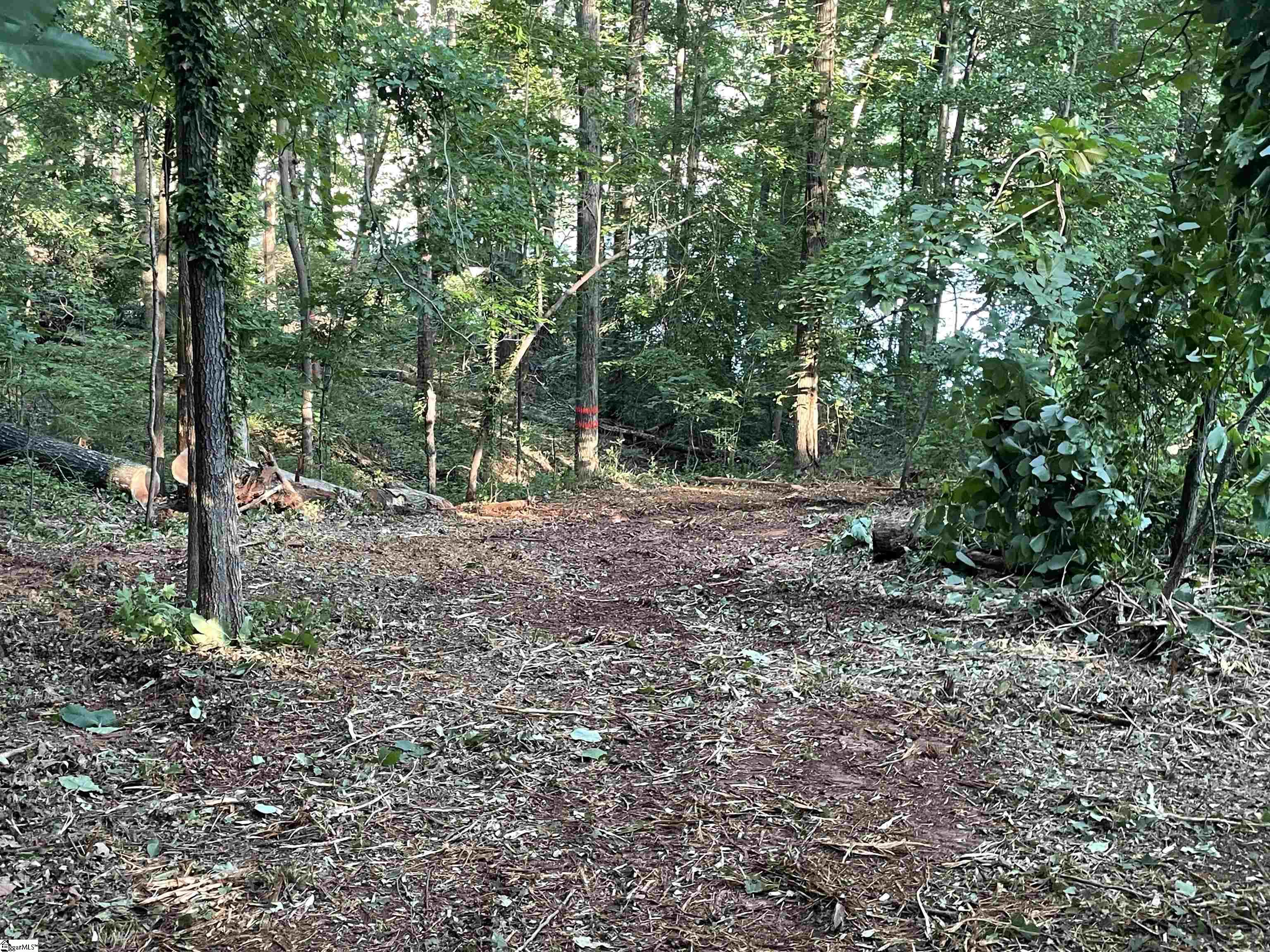 206 Park Road Townville, SC 29689