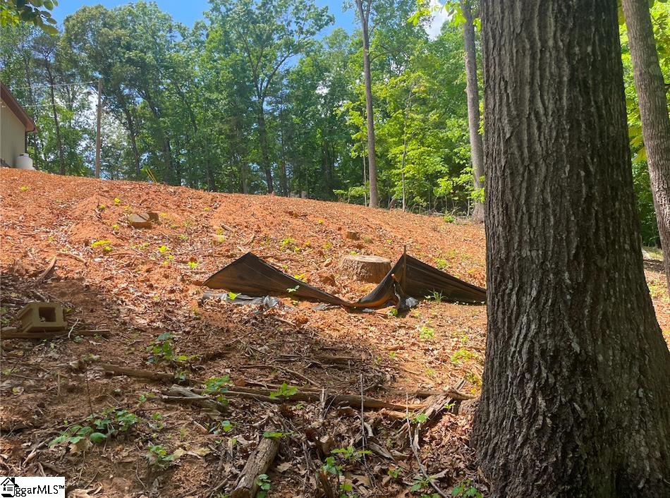 00 Sweet Gum Drive UNIT Lot 28 Westminster, SC 29693