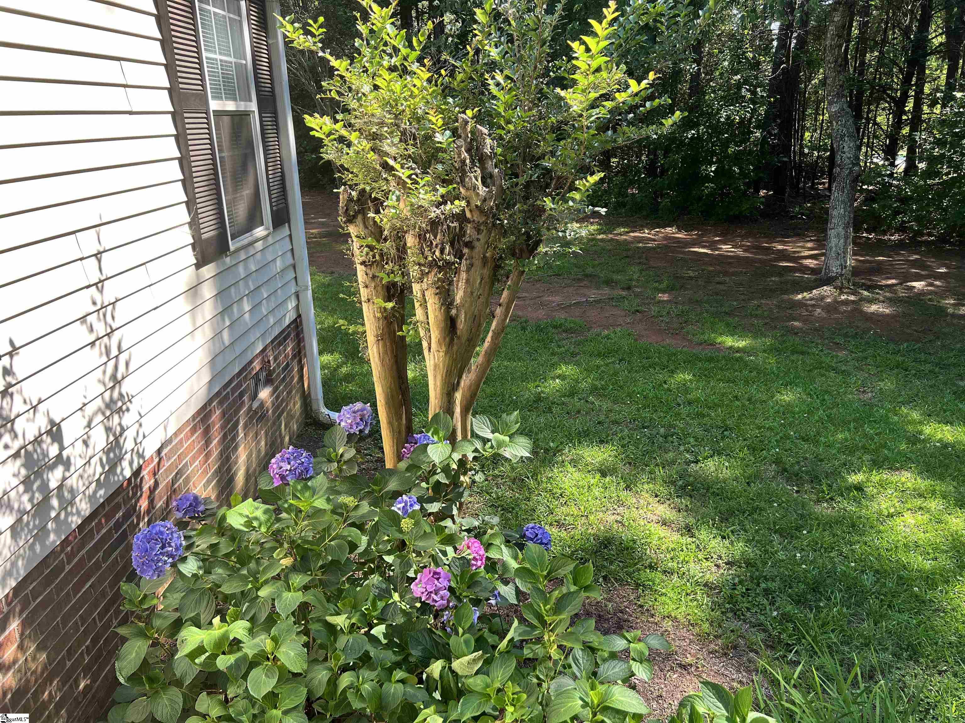 100 Wrentree Drive Easley, SC 29642
