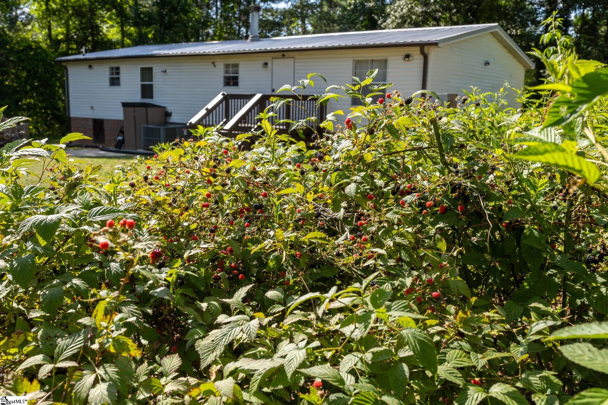 2632 Broadway Lake Anderson, SC 29621