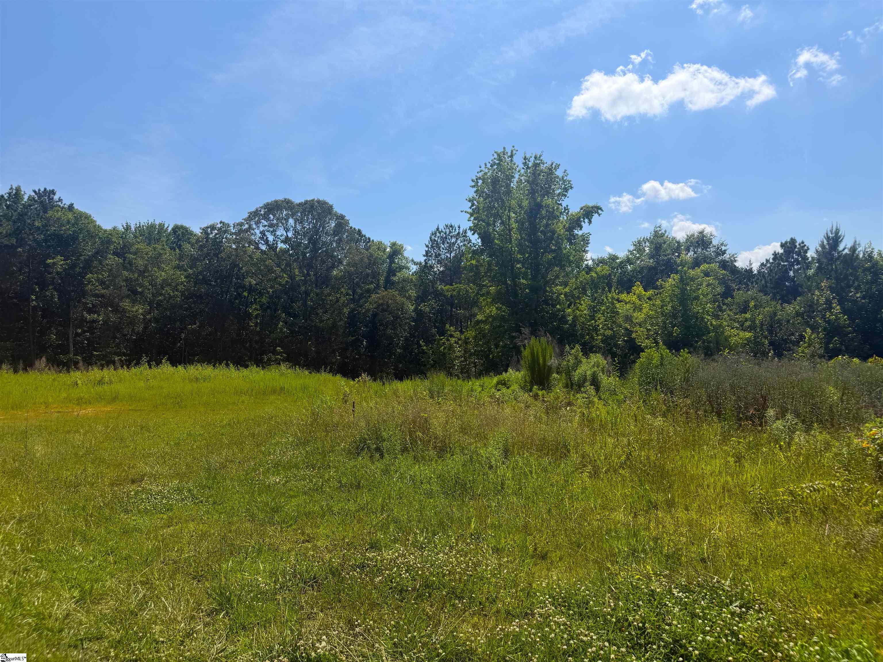 9816 Neely Ferry Road Waterloo, SC 29384