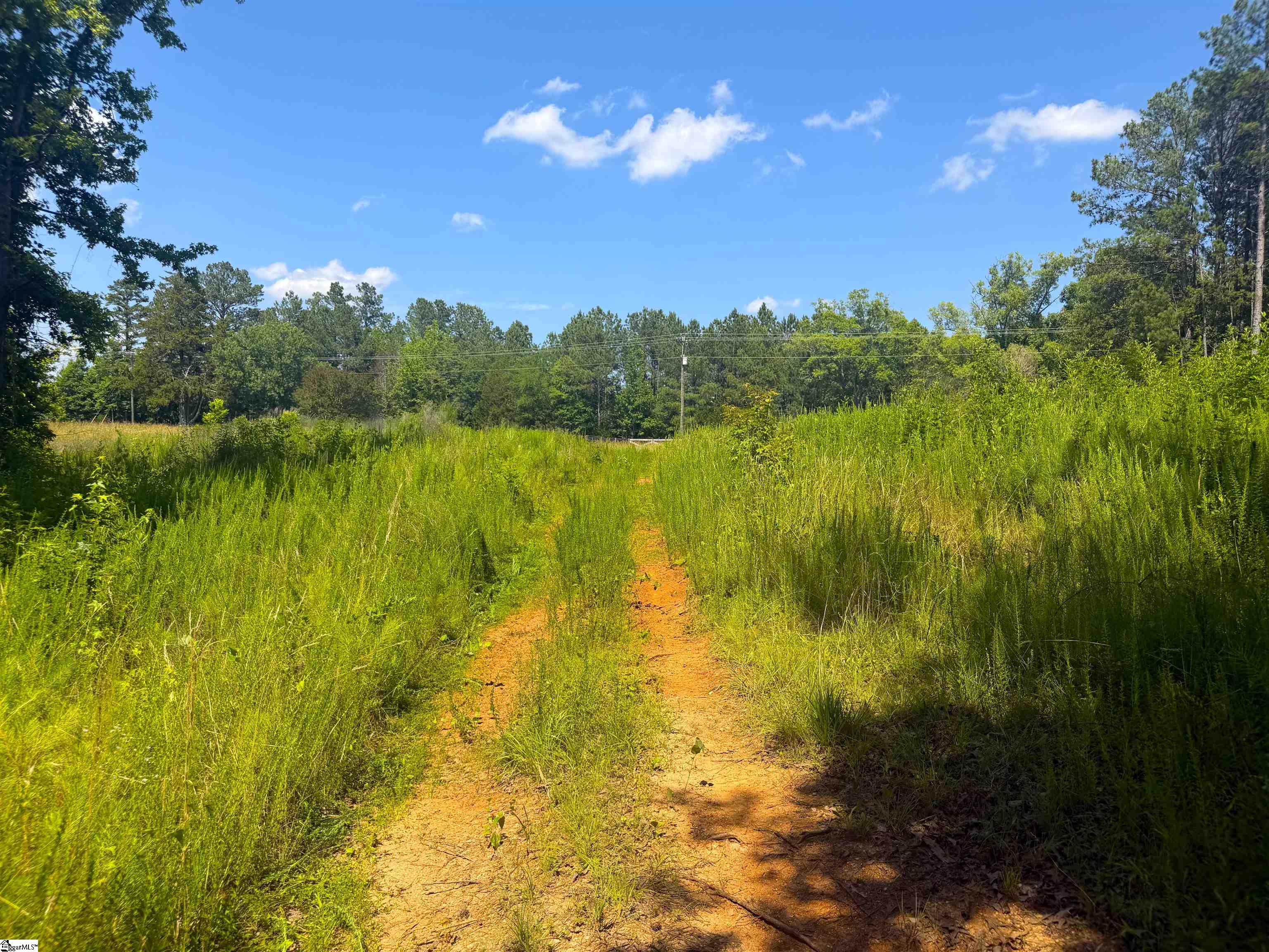 9816 Neely Ferry Road Waterloo, SC 29384