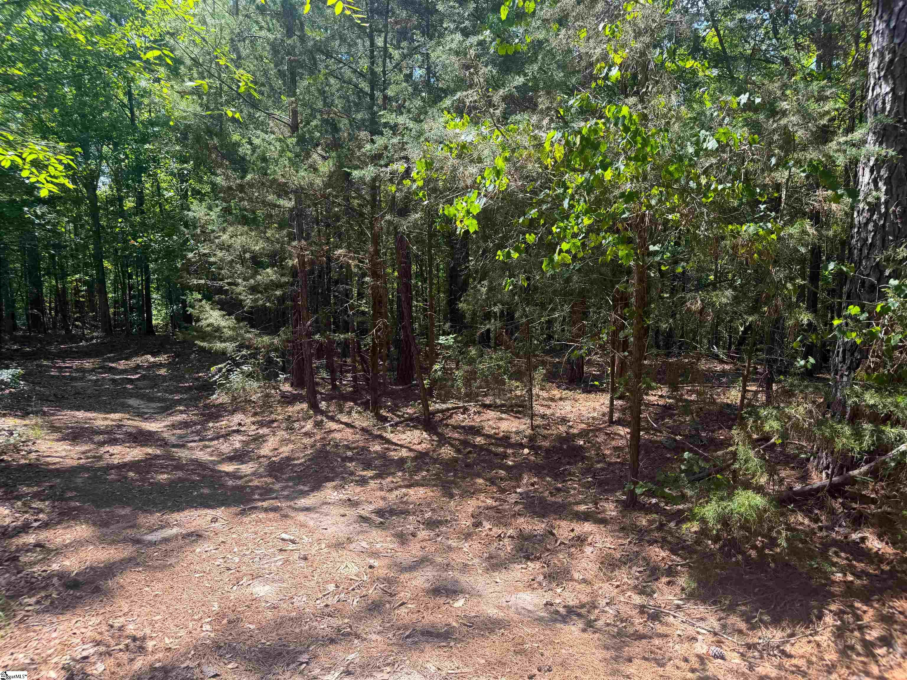 9816 Neely Ferry Road Waterloo, SC 29384
