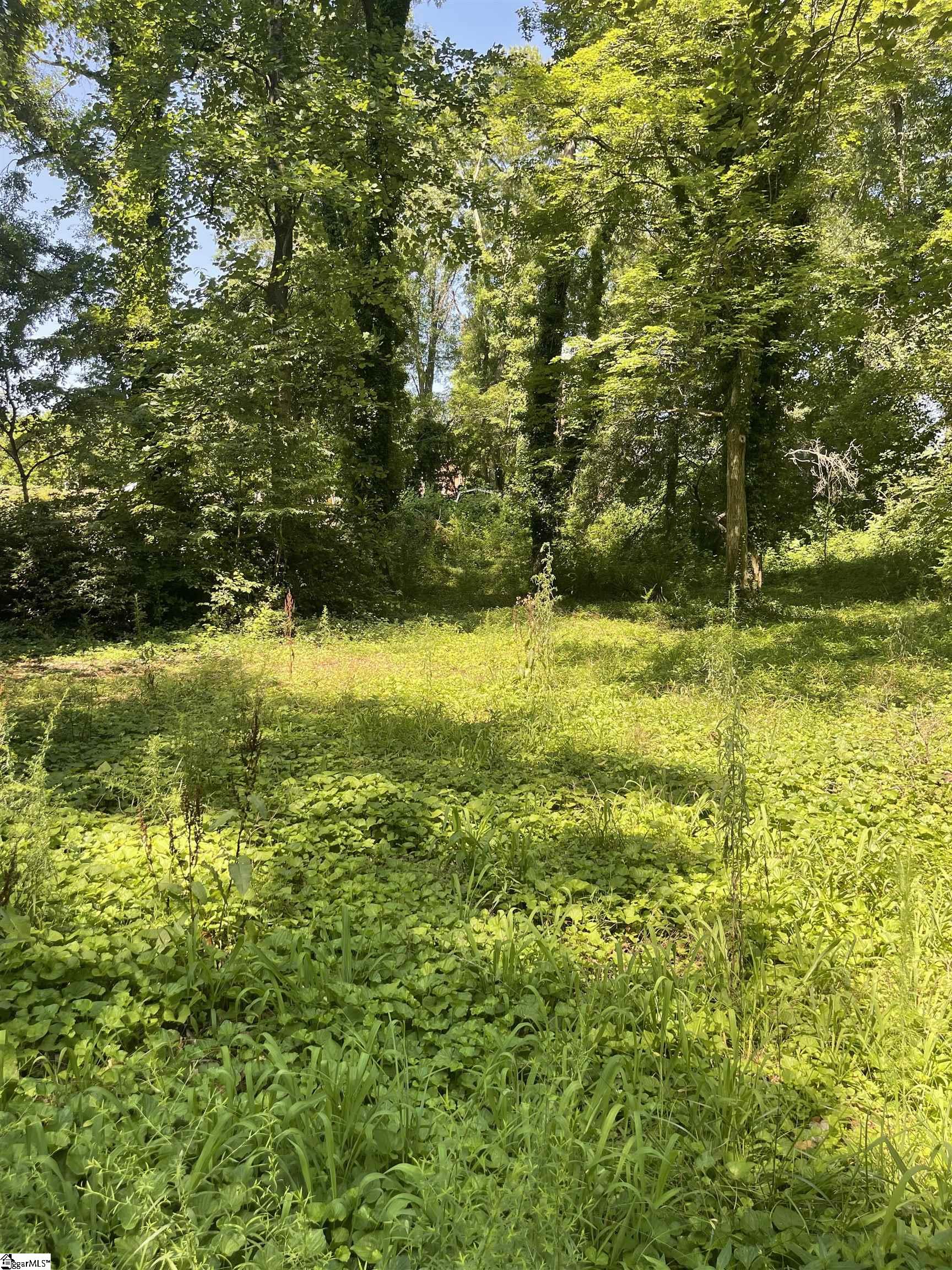 151 Coldstream Drive Boiling Springs, SC 29316
