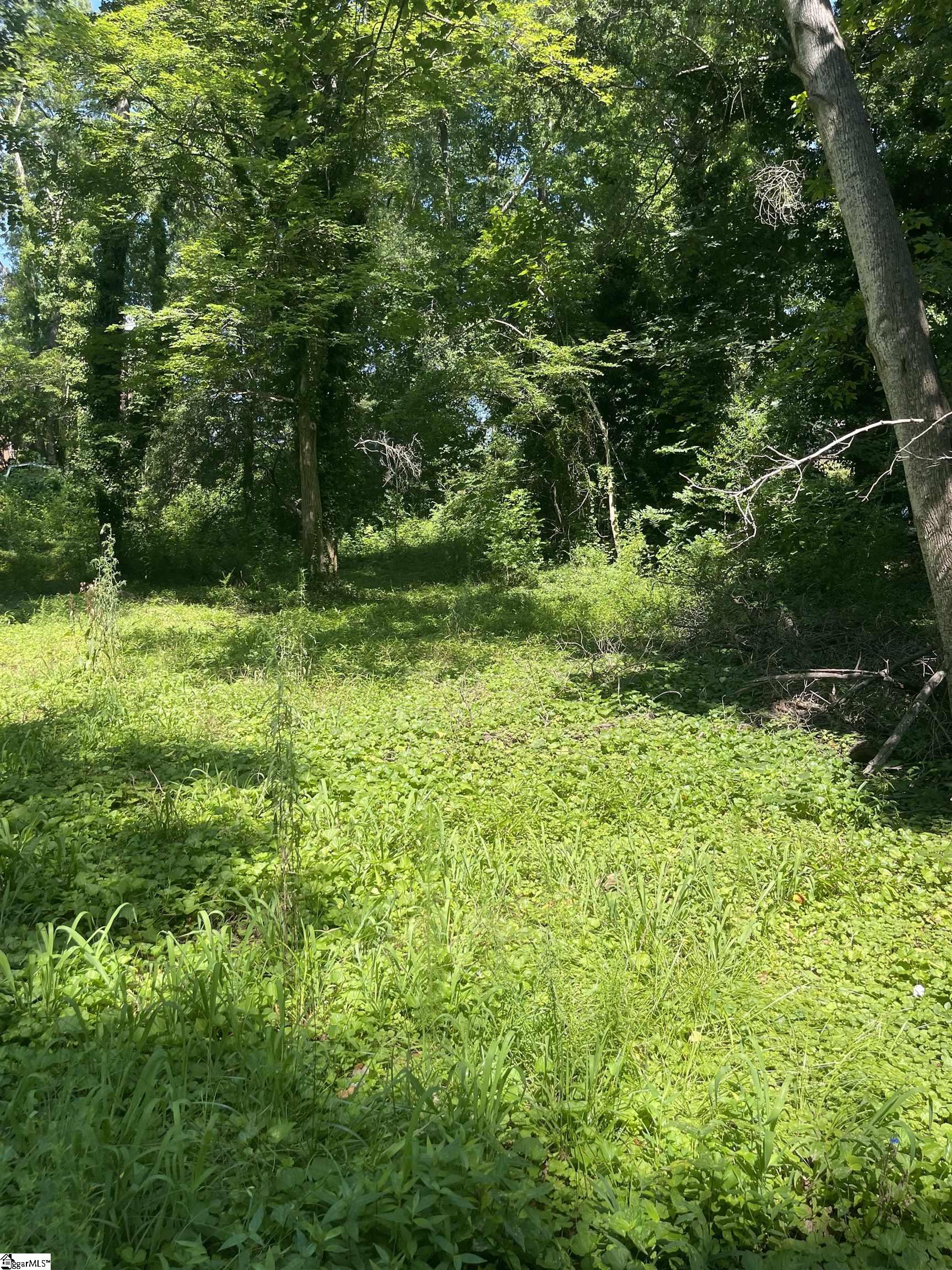151 Coldstream Drive Boiling Springs, SC 29316