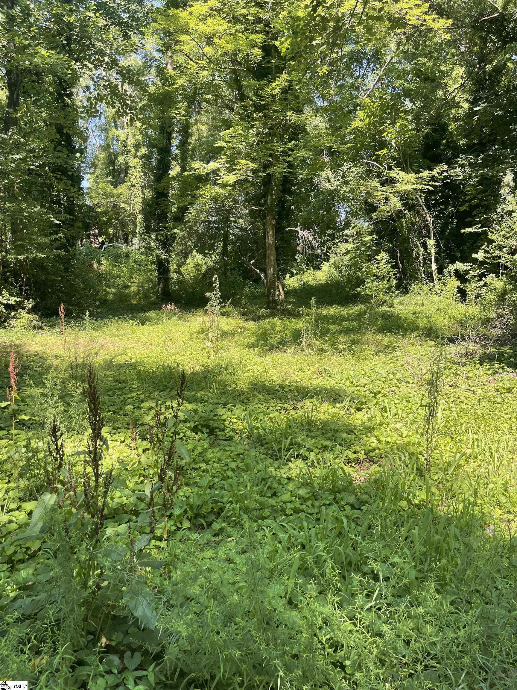 151 Coldstream Drive Boiling Springs, SC 29316