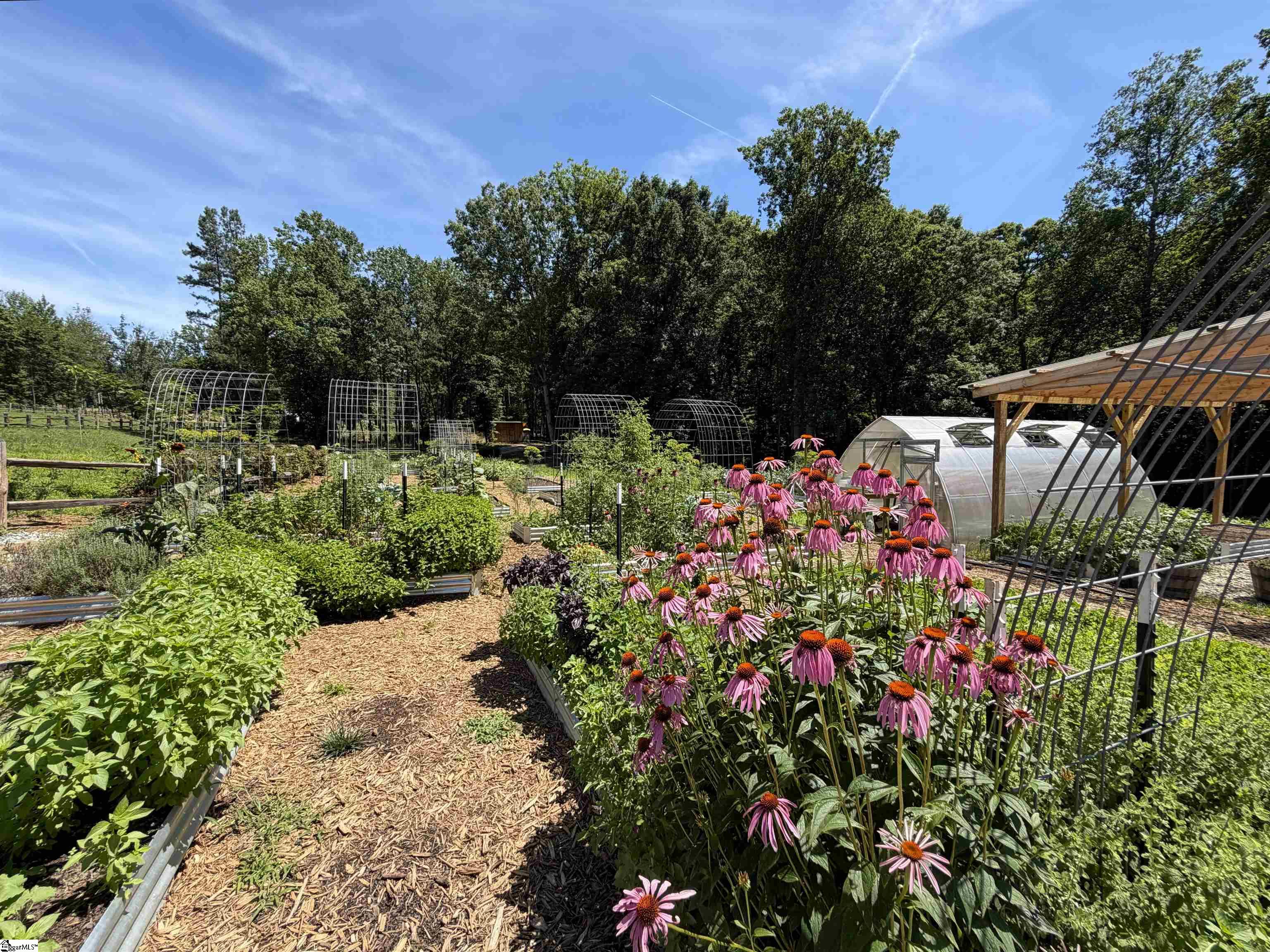 161 Meadow Park Drive Easley, SC 29640-3371