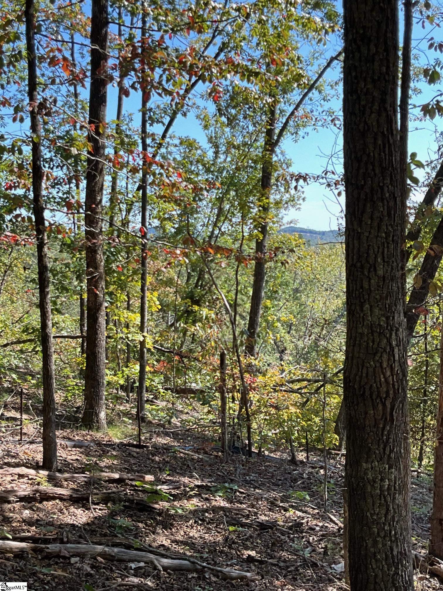 Lot 31 Highridge Parkway Marietta, SC 29661
