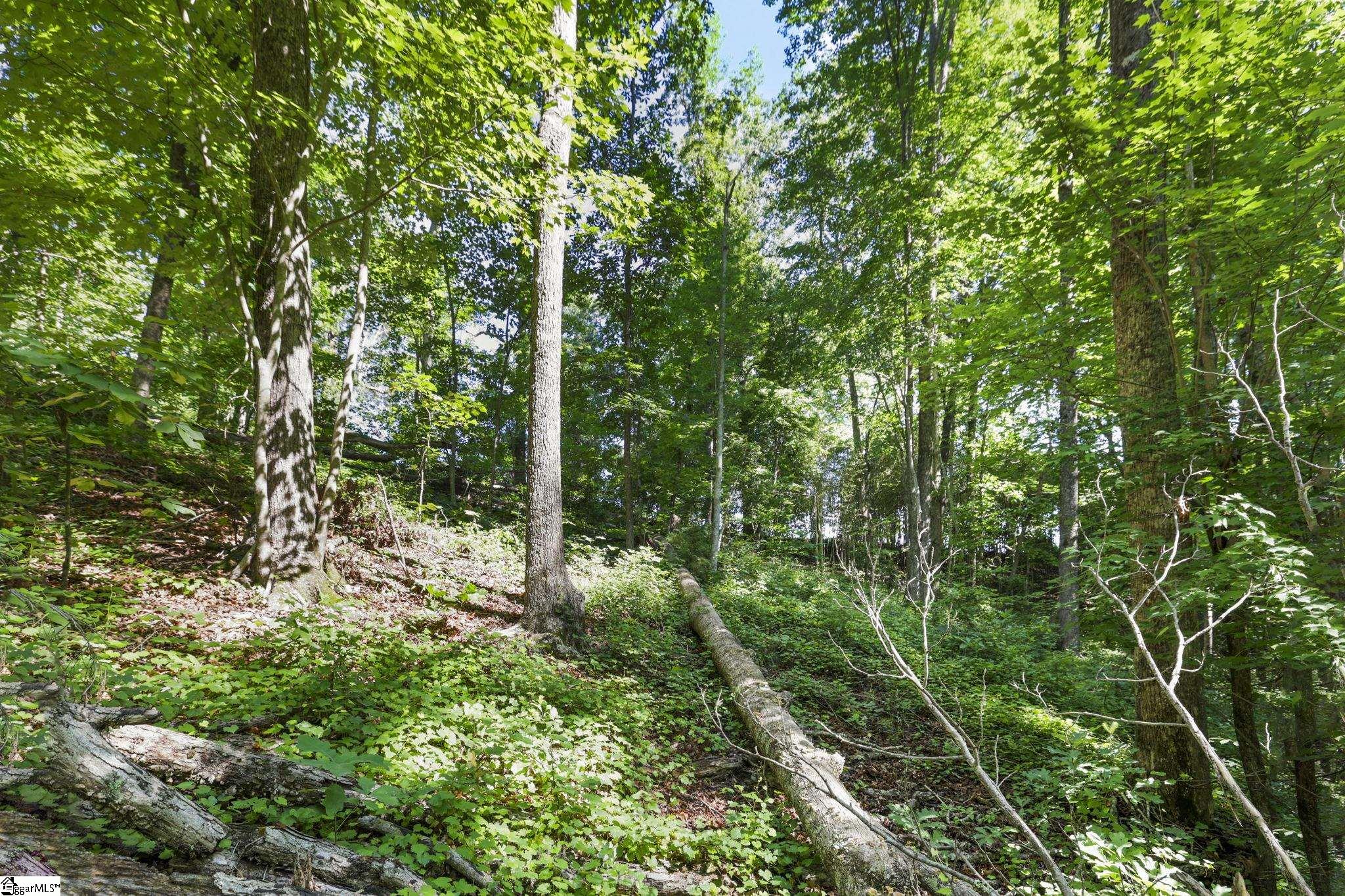 196 E Raines Road Easley, SC 29640-7638