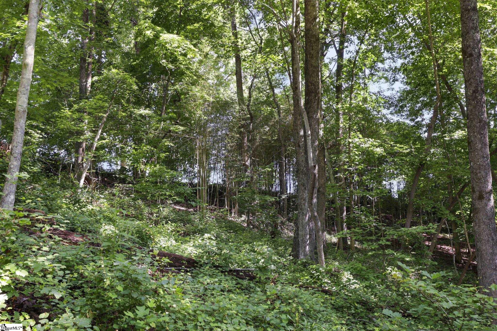 196 E Raines Road Easley, SC 29640-7638