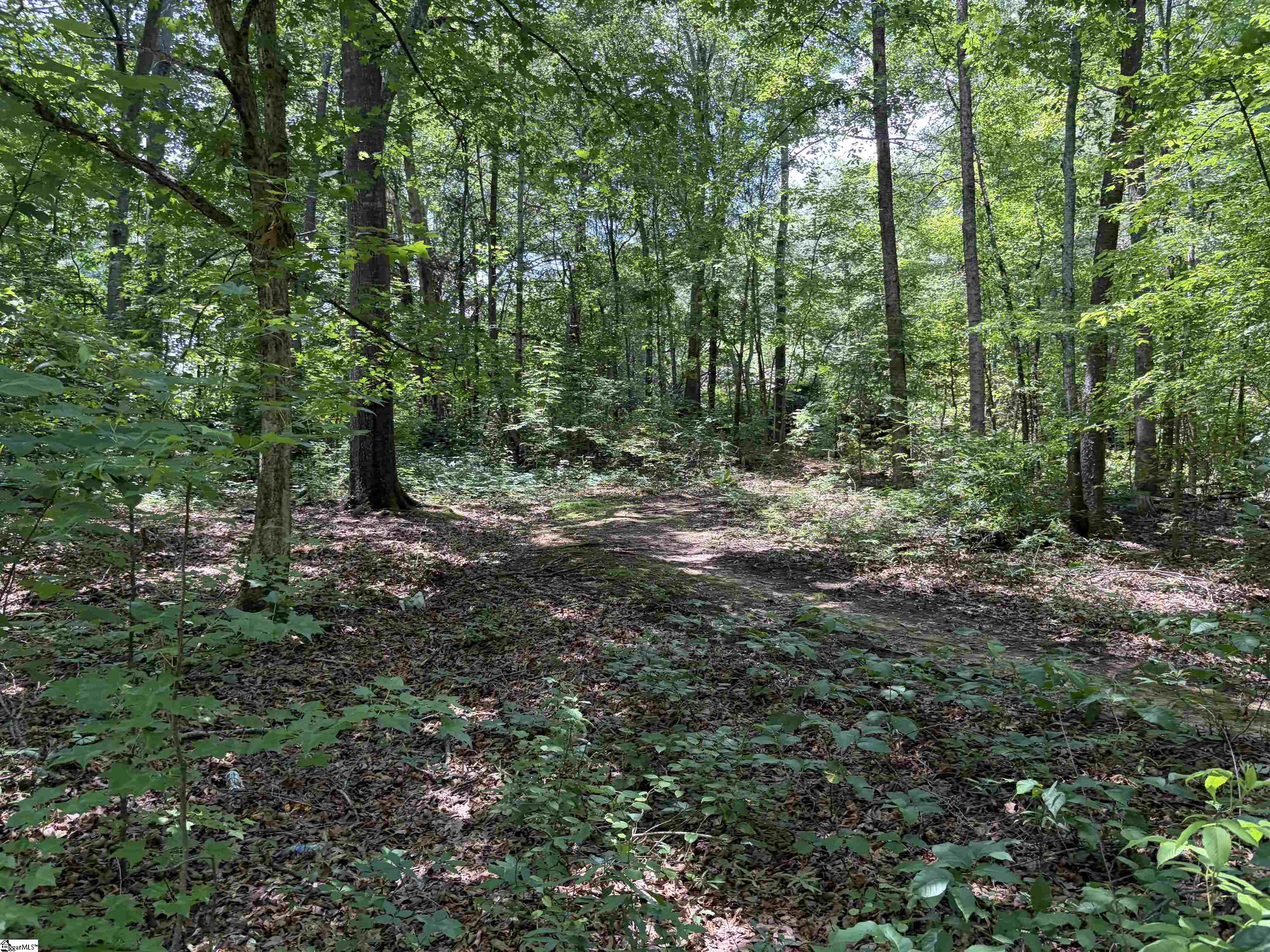 125 N Gray Haven Lane Easley, SC 29640