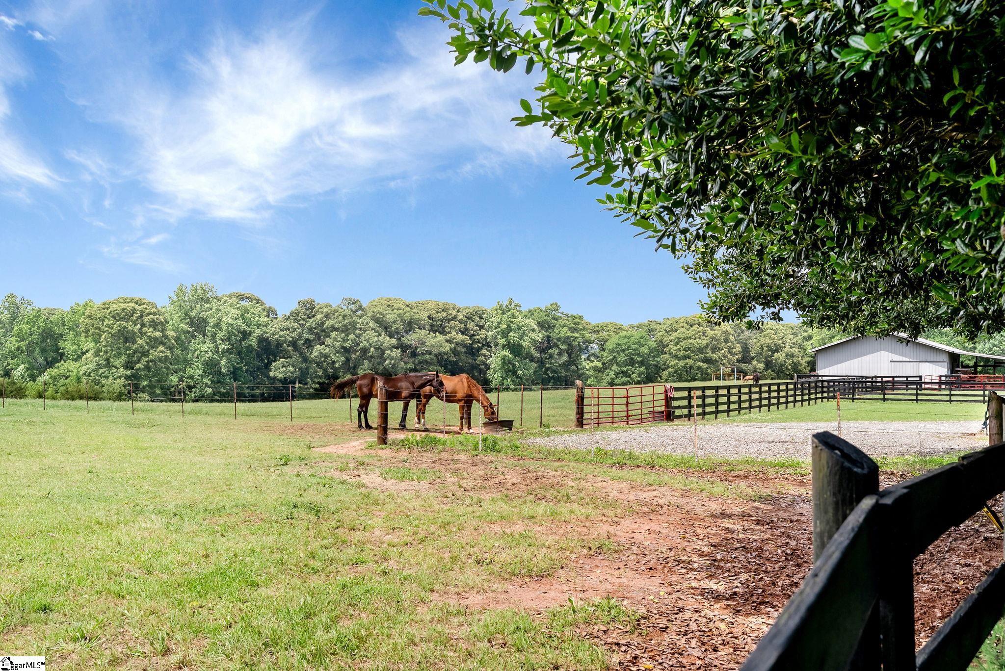 343 Finley Road Easley, SC 29642