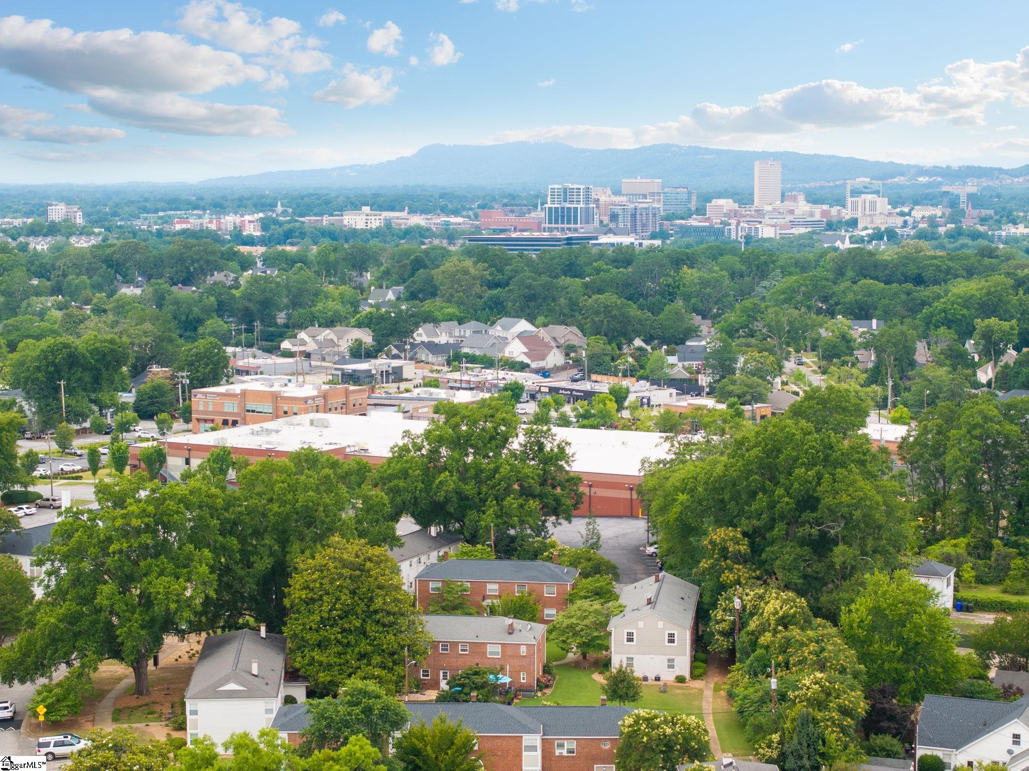 100 Lewis Drive UNIT Unit 4B Greenville, SC 29605