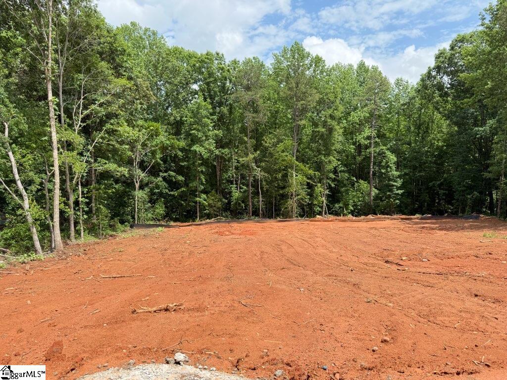 453 Bill Lattimore Road Chesnee, SC 29323