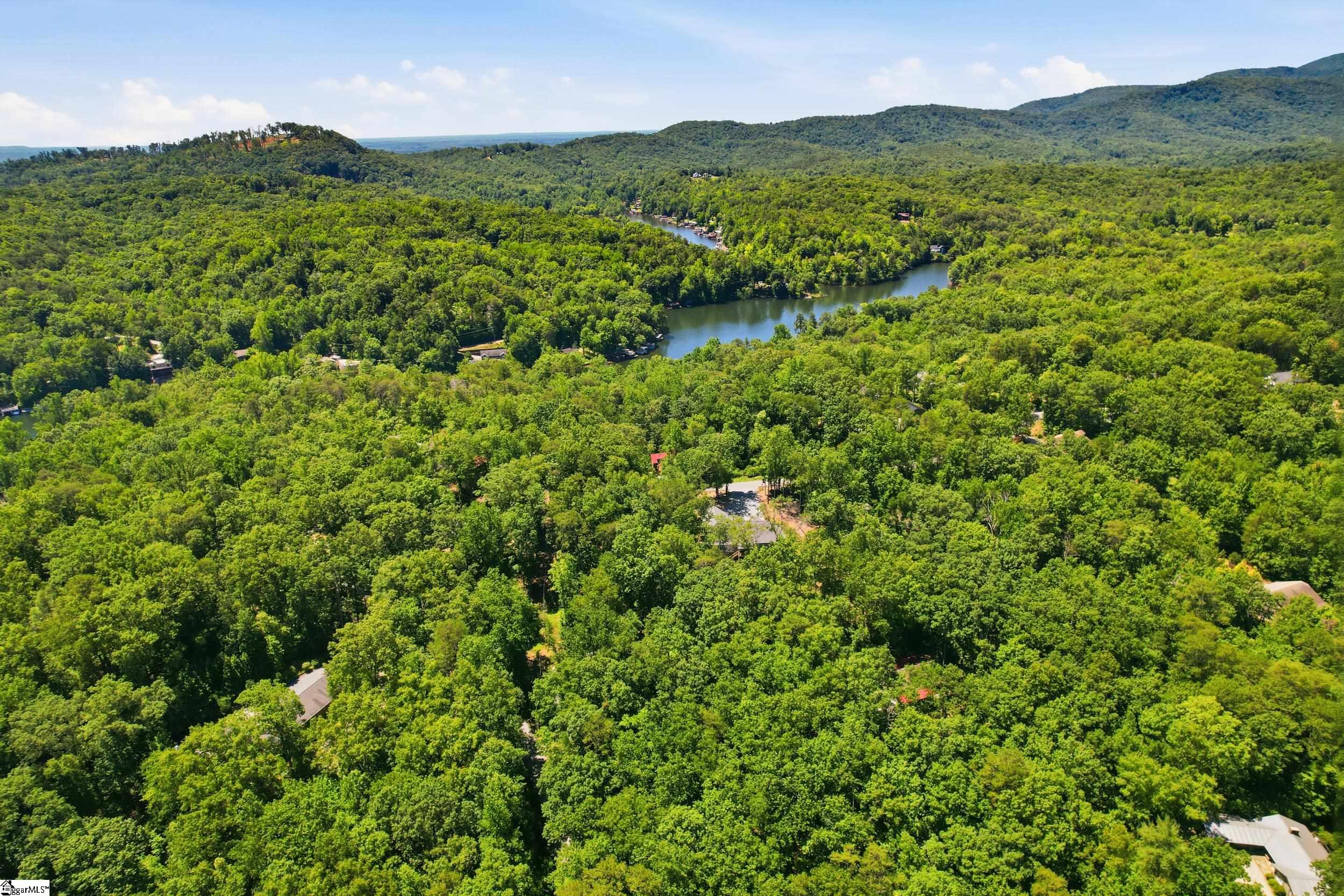 143 Caledonia Road Landrum, SC 29356