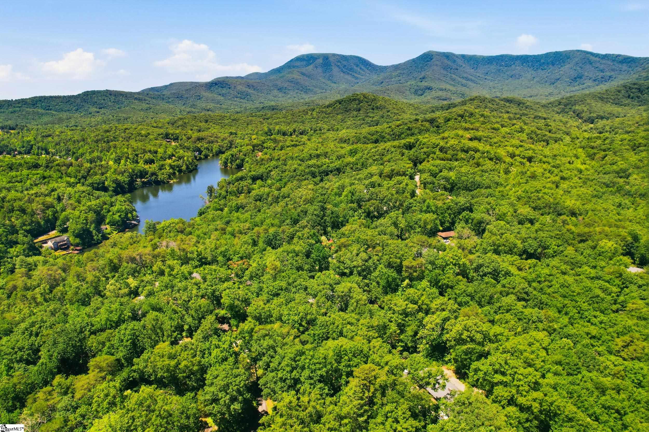 143 Caledonia Road Landrum, SC 29356