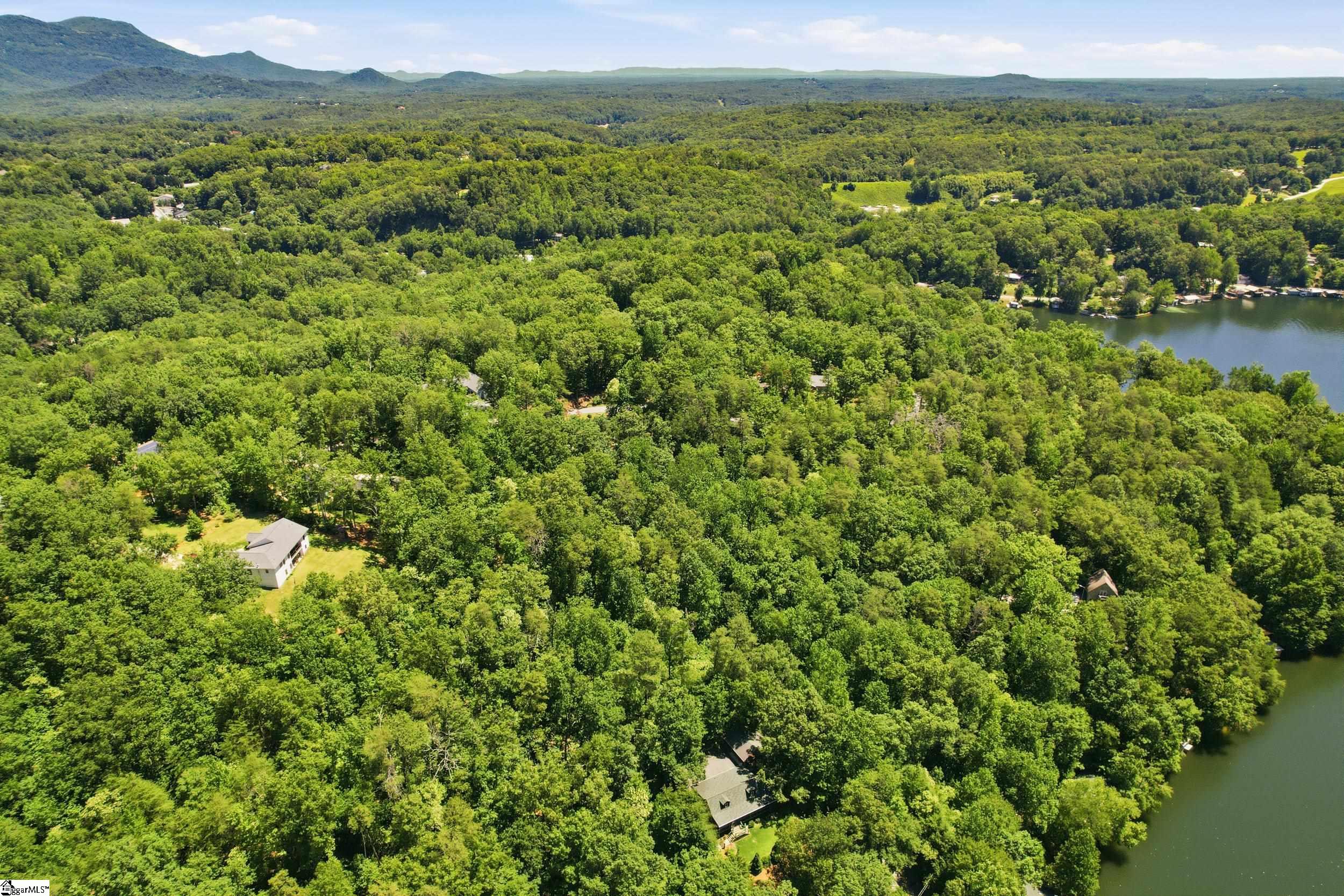 143 Caledonia Road Landrum, SC 29356