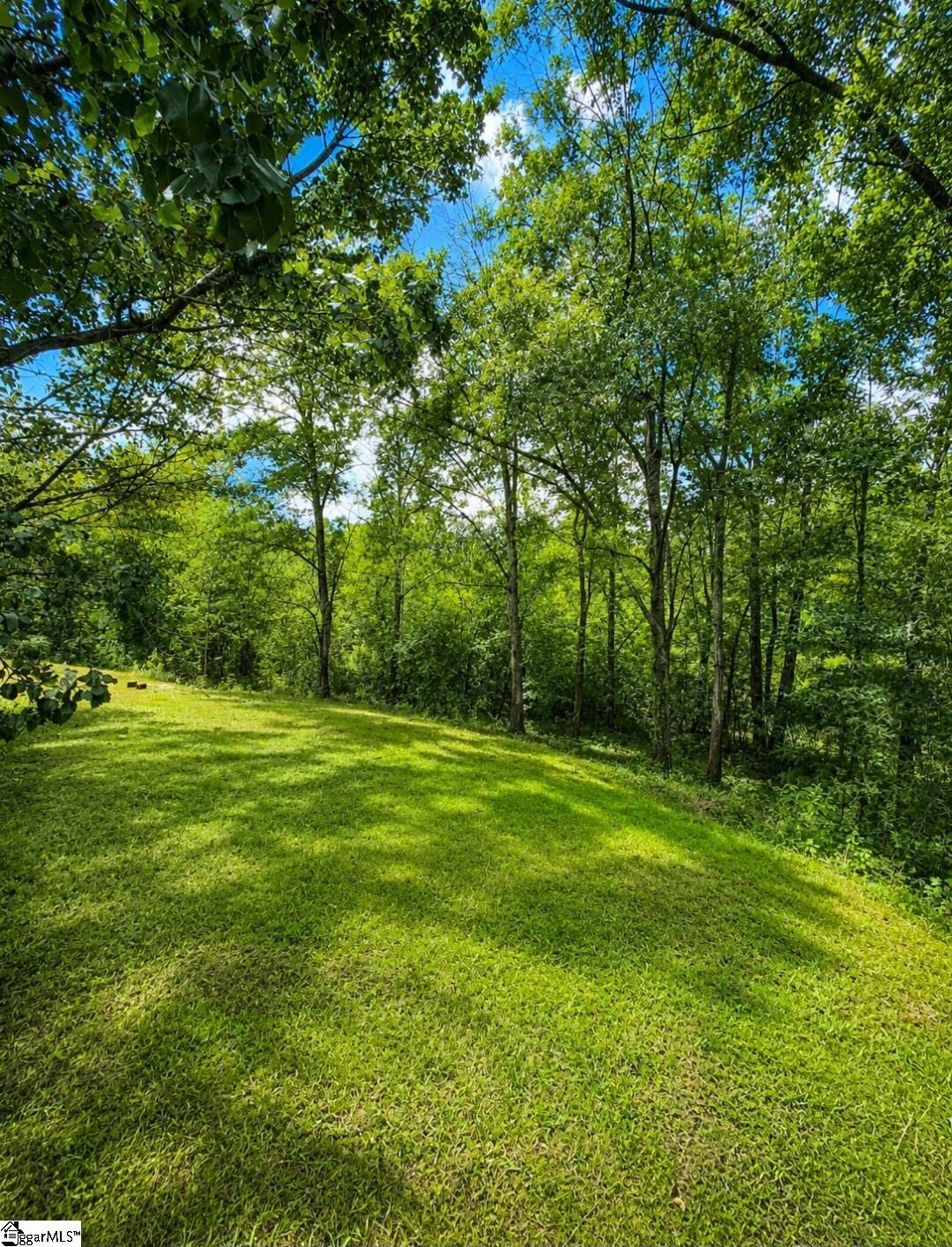 314 Goodwin Bridge Road Travelers Rest, SC 29690