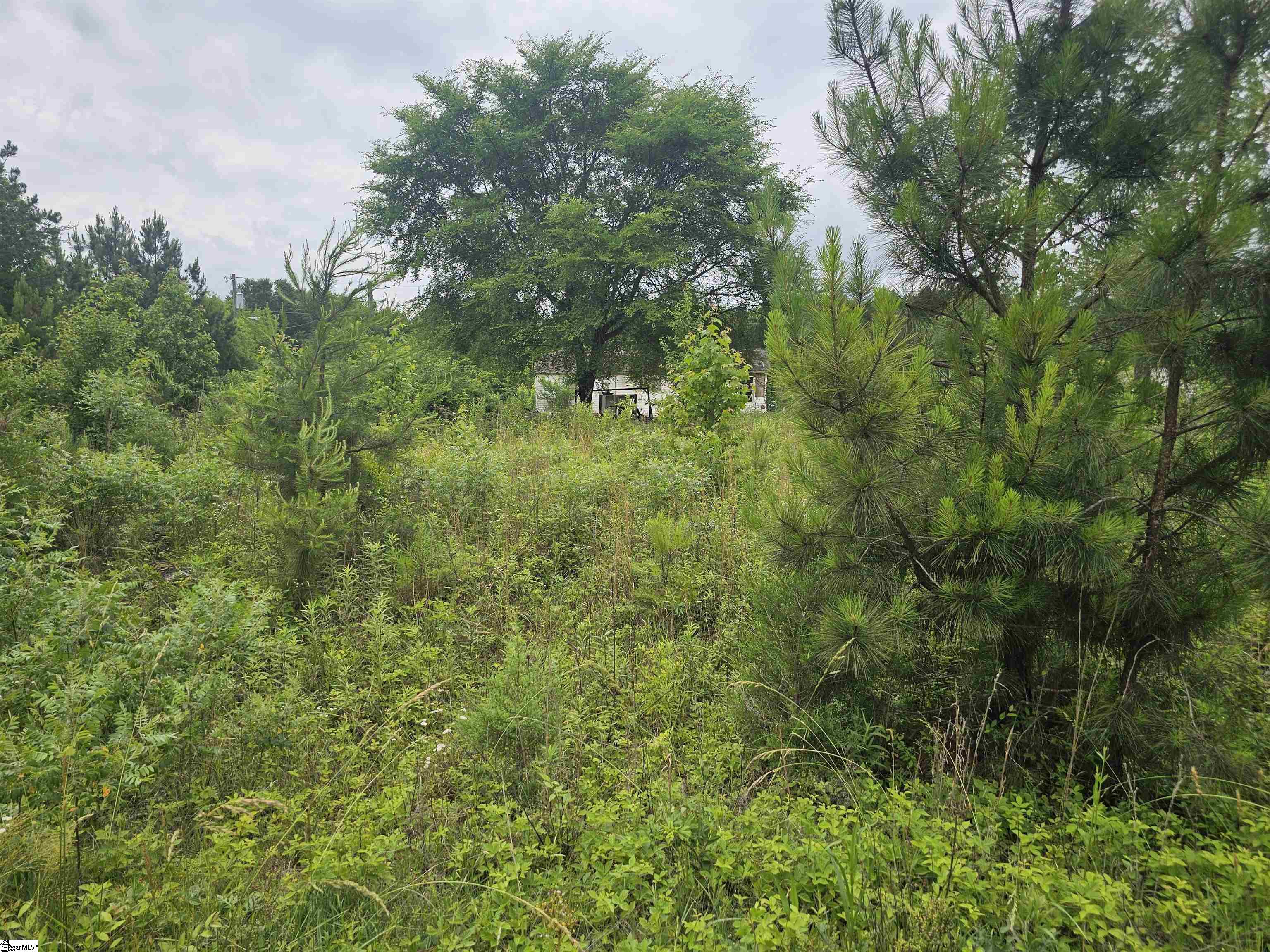 348 Dillon Drive Clinton, SC 29325