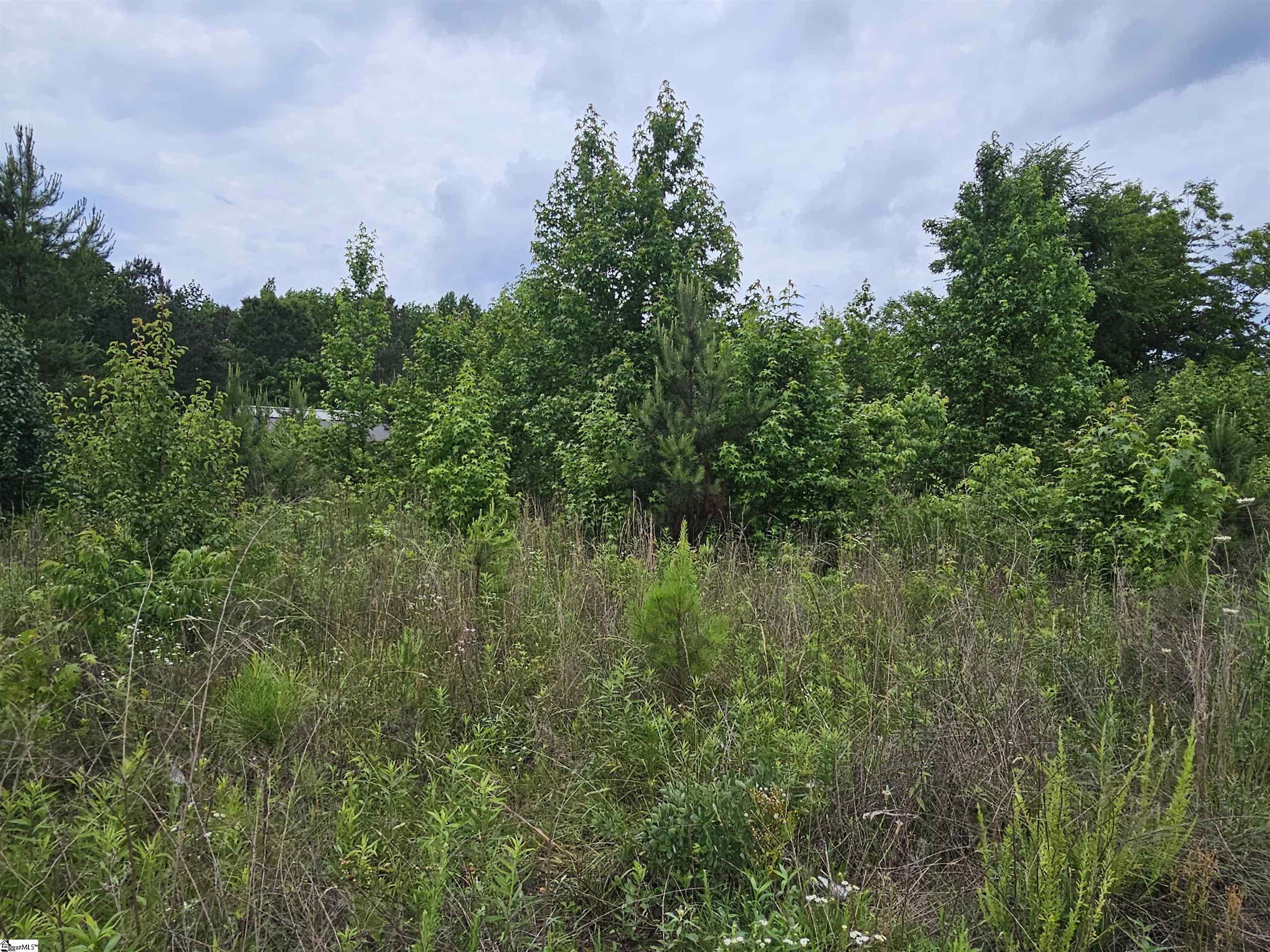 144 Colleton Drive Clinton, SC 29325