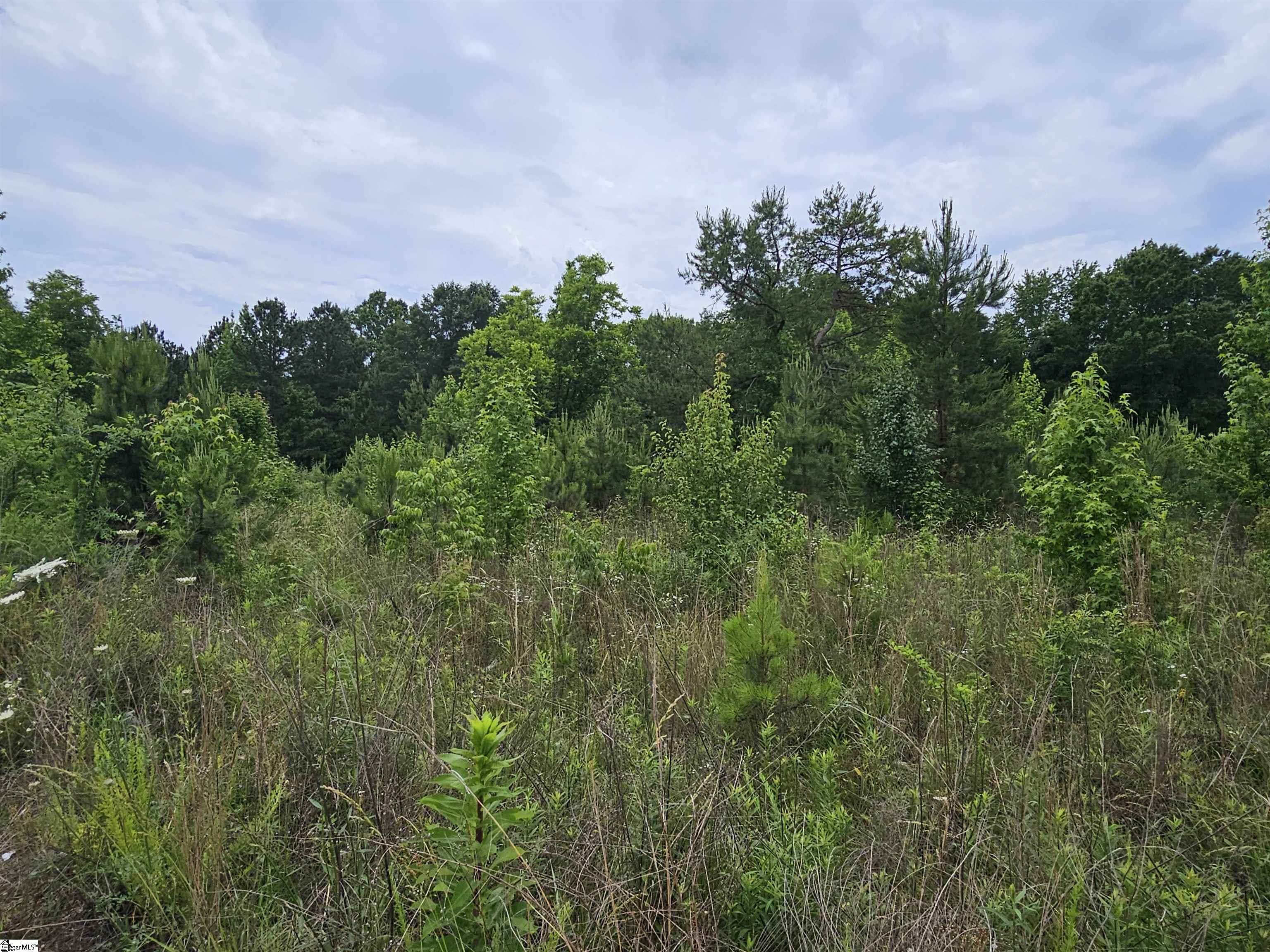 144 Colleton Drive Clinton, SC 29325