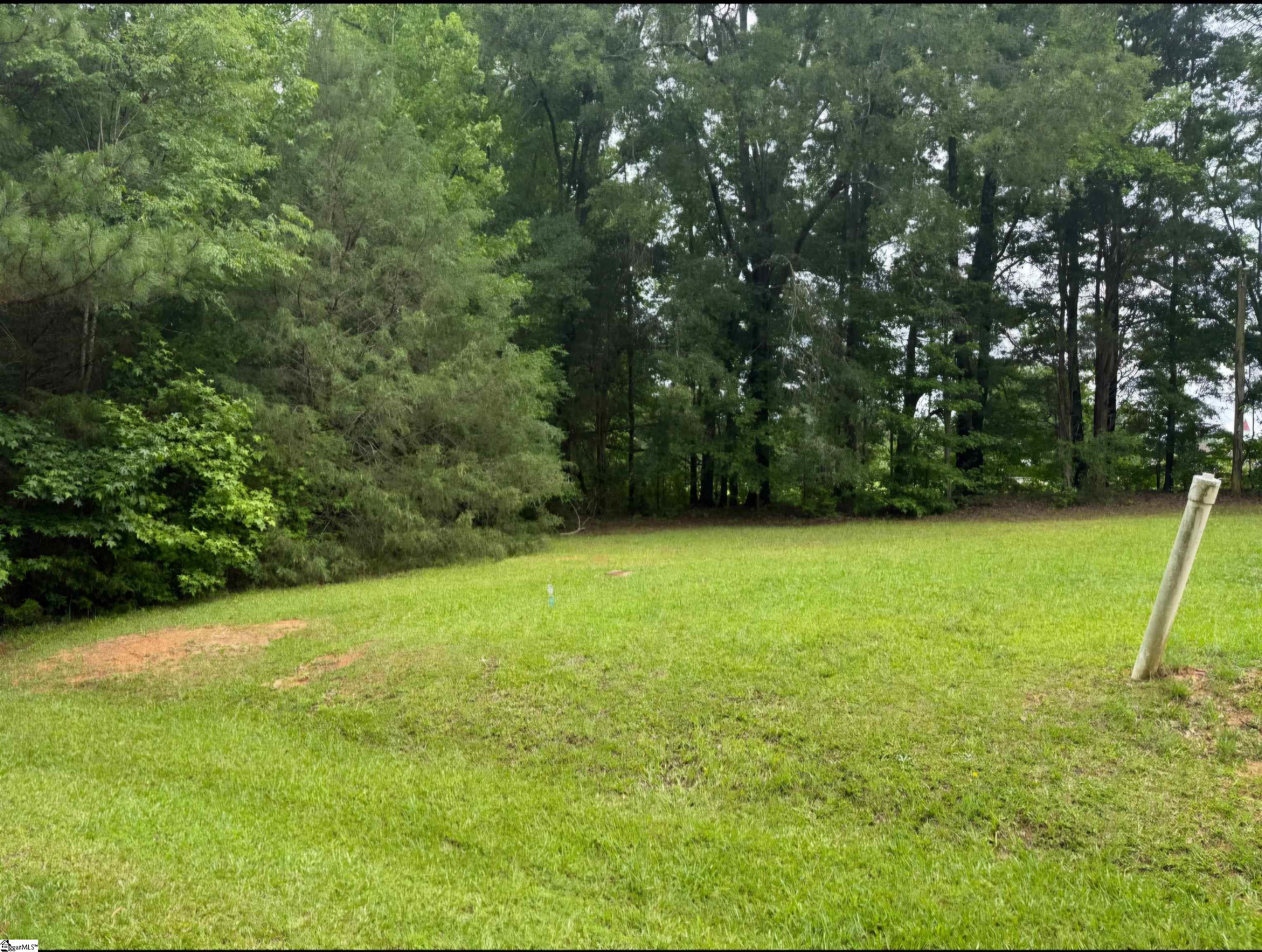 415 Dillon Drive Clinton, SC 29325