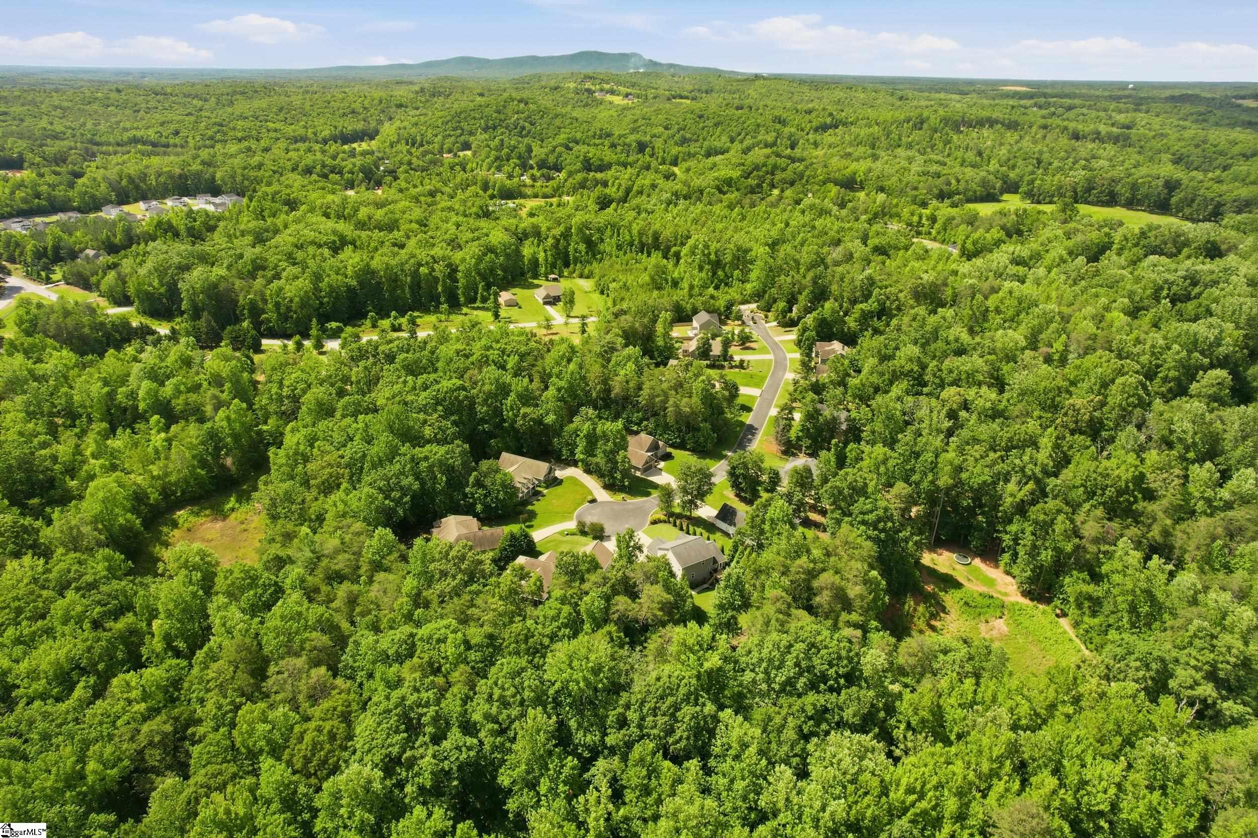 28 Goodwin Farms Court Travelers Rest, SC 29690