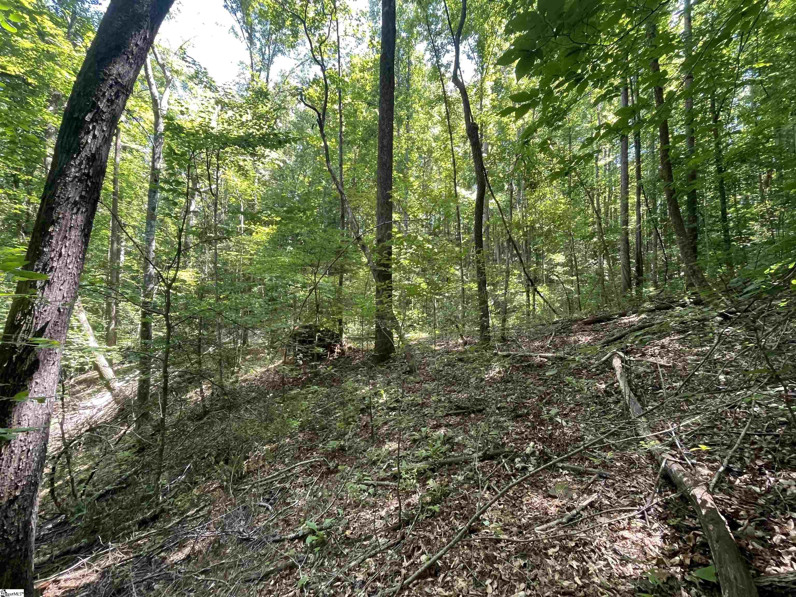 00 Nimmons Bridge Road Salem, SC 29676