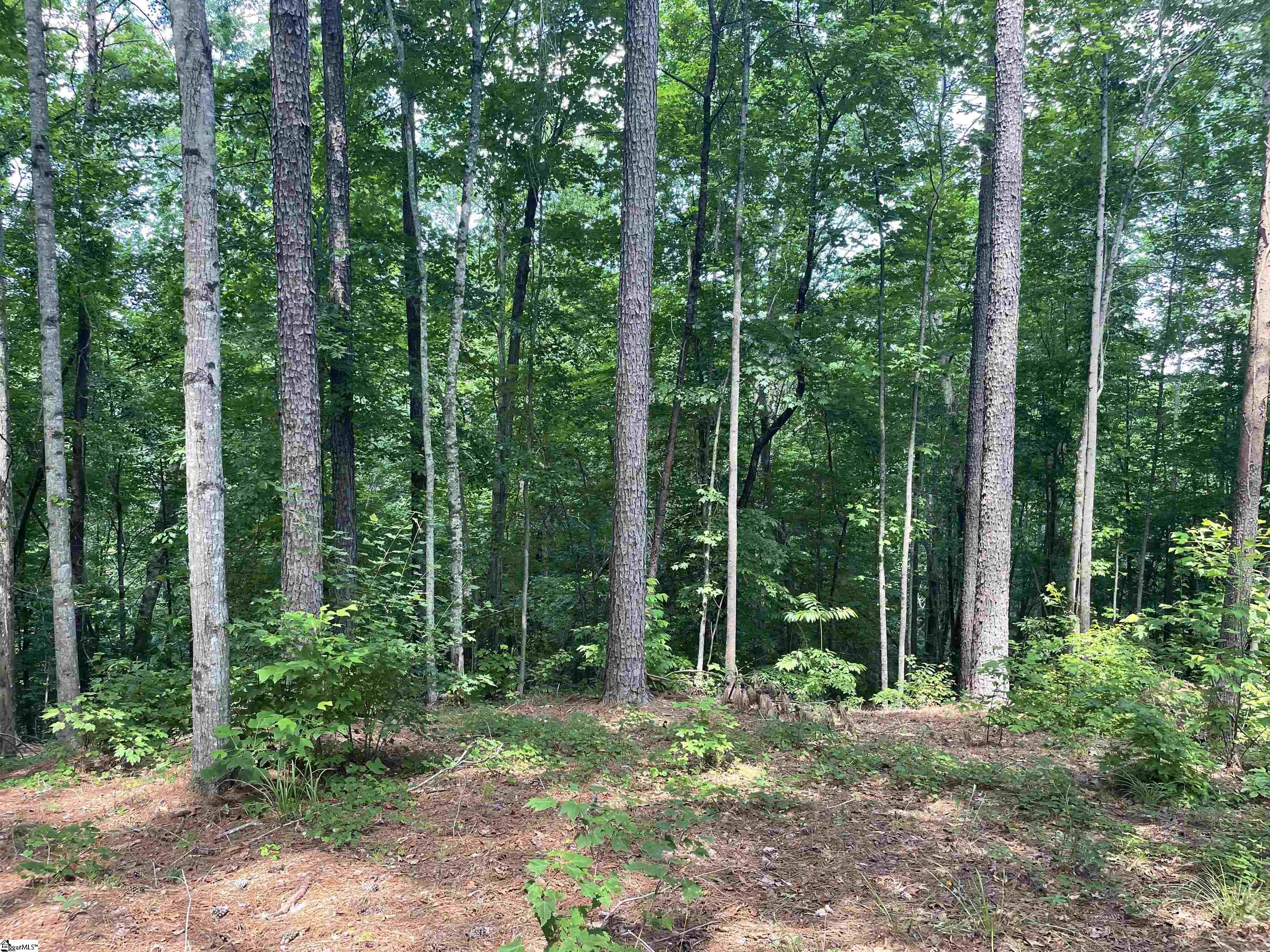 00 Nimmons Bridge Road Salem, SC 29676