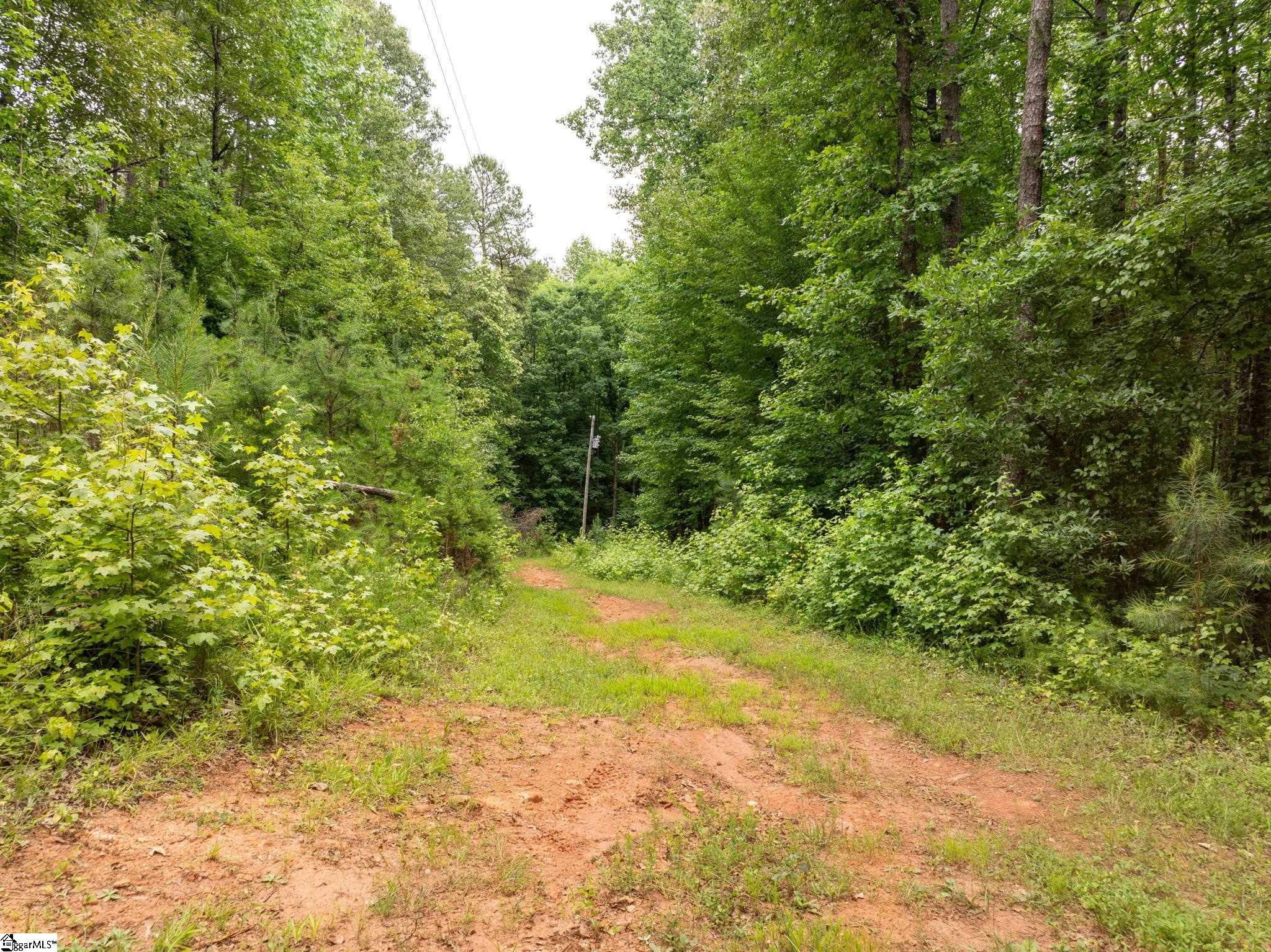 1350 Lee Cudd Road Rutherfordton, NC 28139-0000