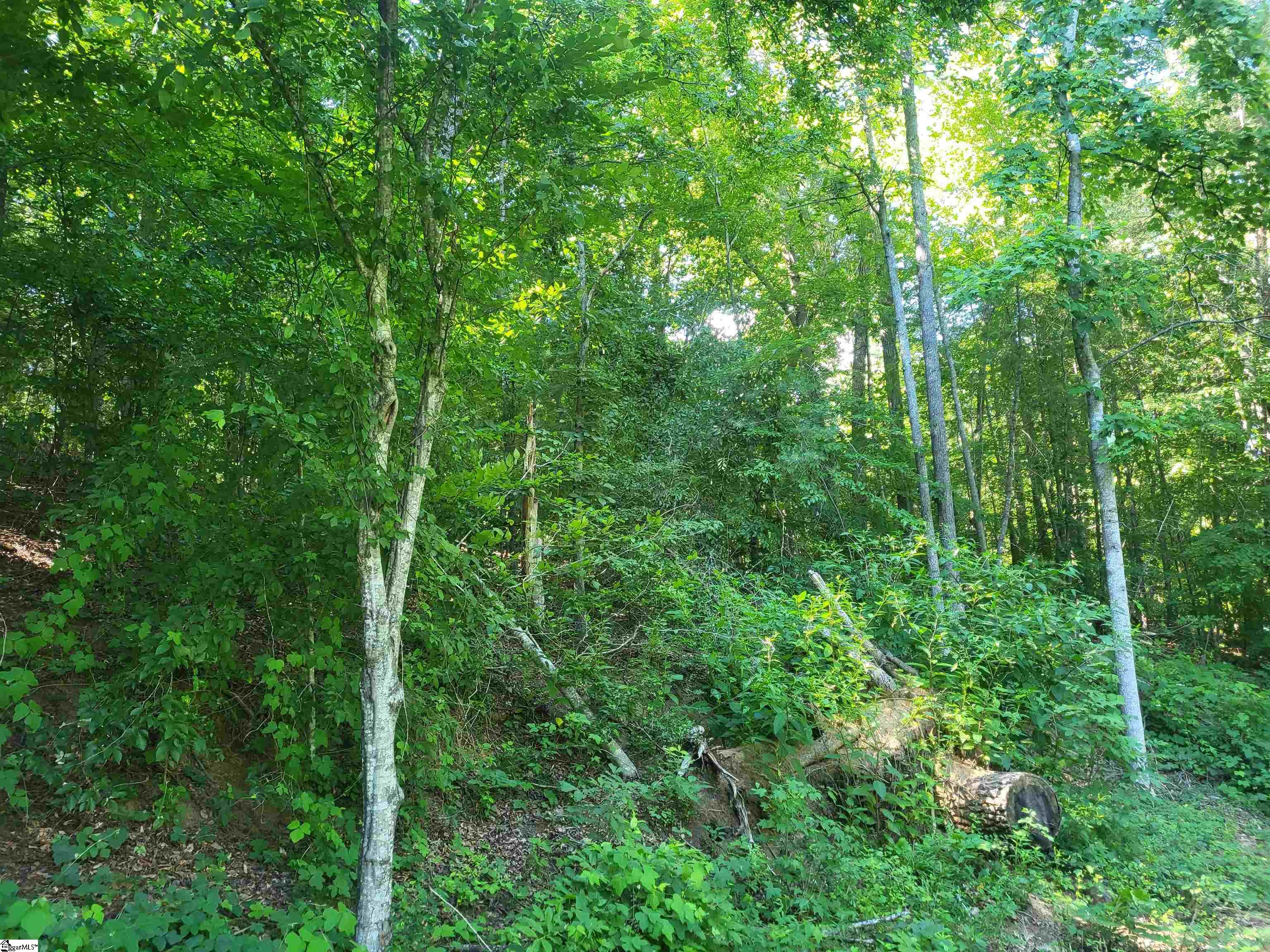 00 Hidden Valley Road Marietta, SC 29661