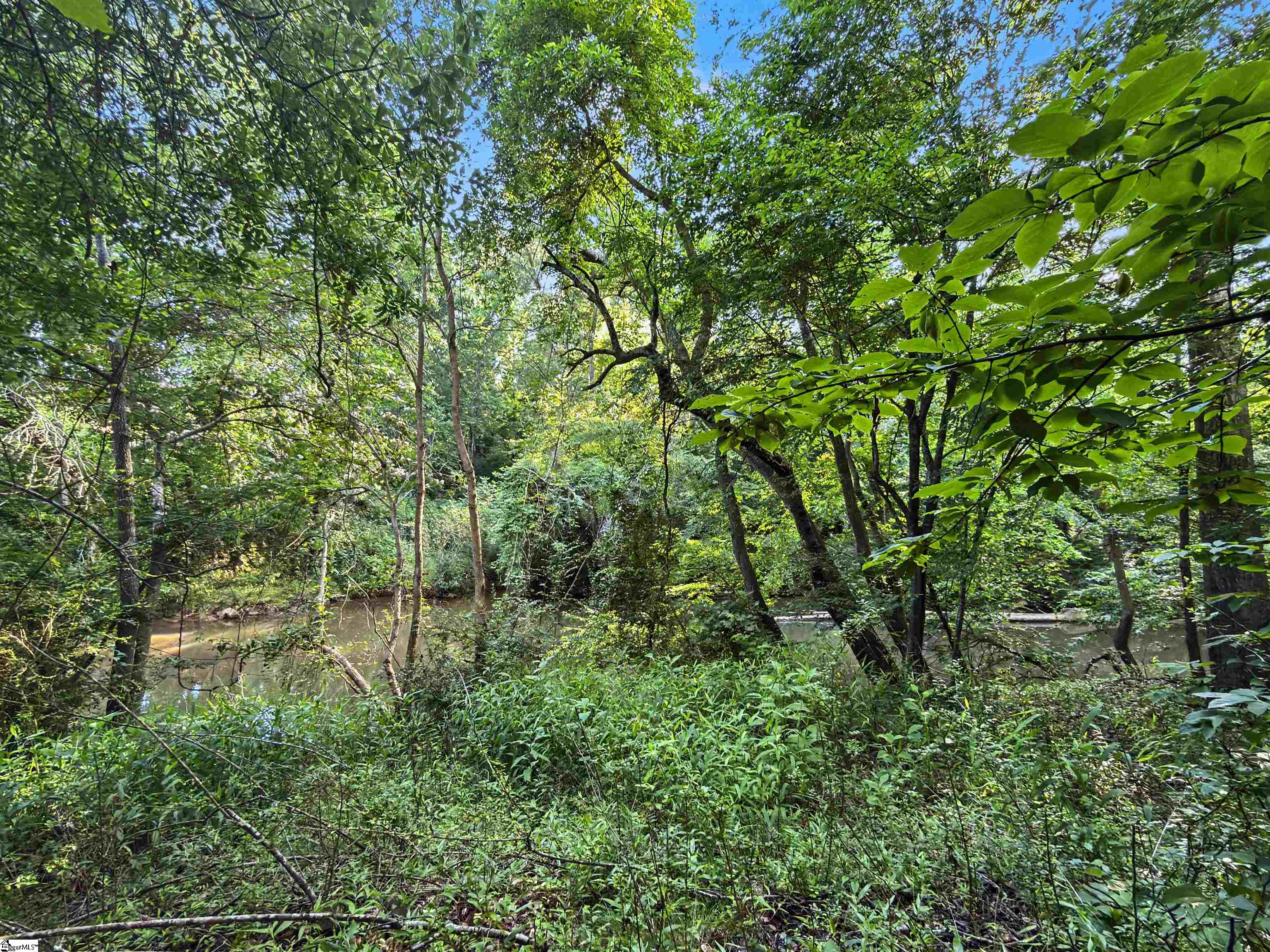 15 Barlia Way Greenville, SC 29607