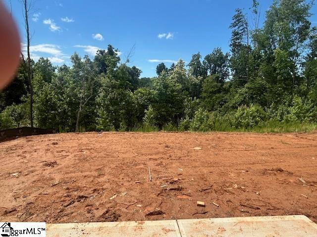 174 Gumwood Circle Gaffney, SC 29341