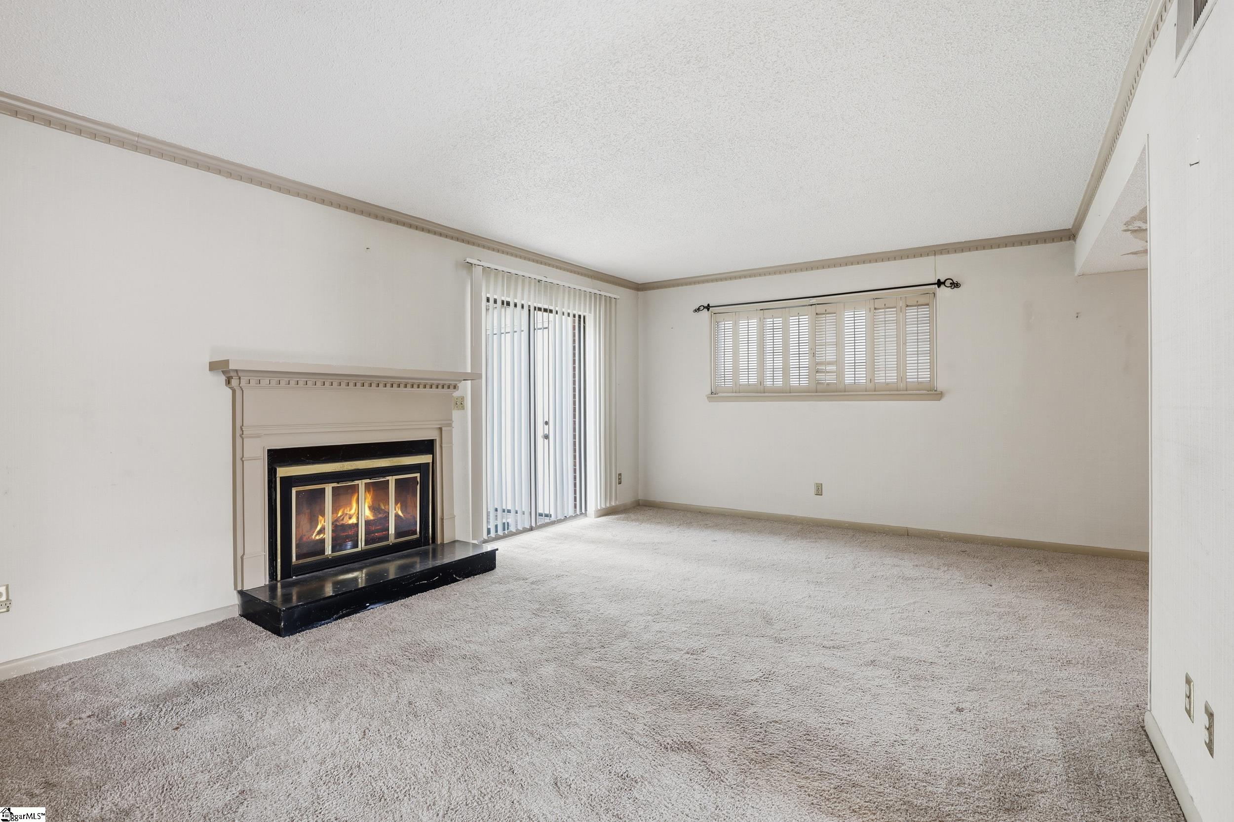 32 Briarglen Place Greenville, SC 29615