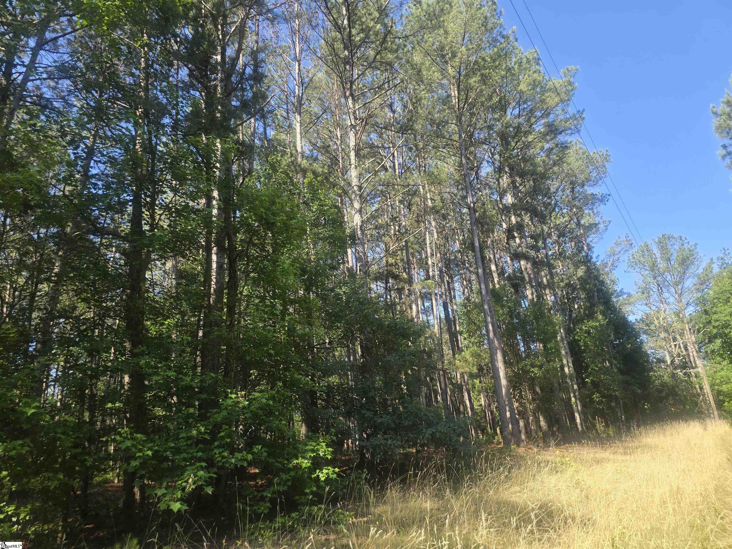 12.3 acres Highway Townville, SC 29689
