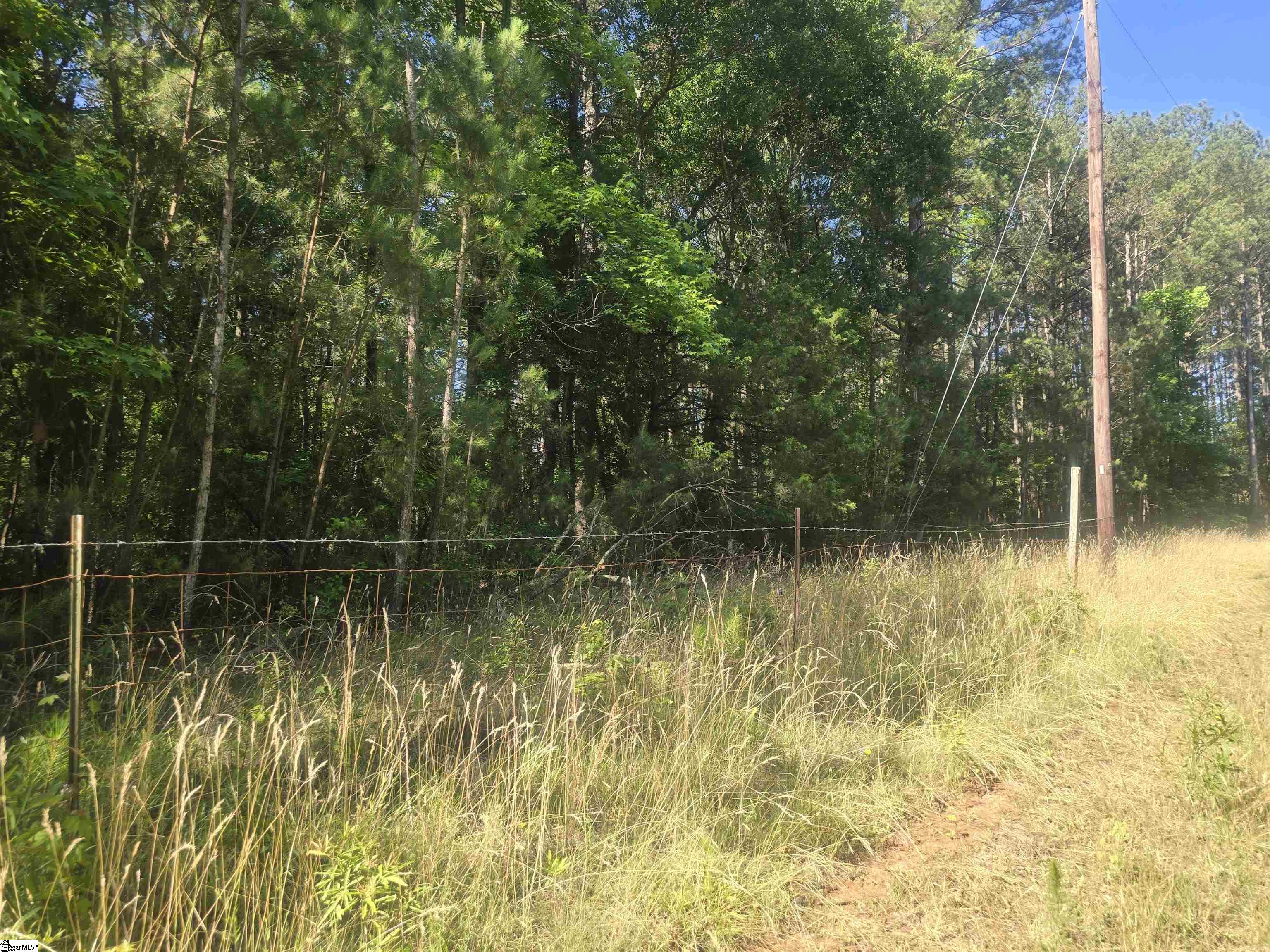 12.3 acres Highway Townville, SC 29689