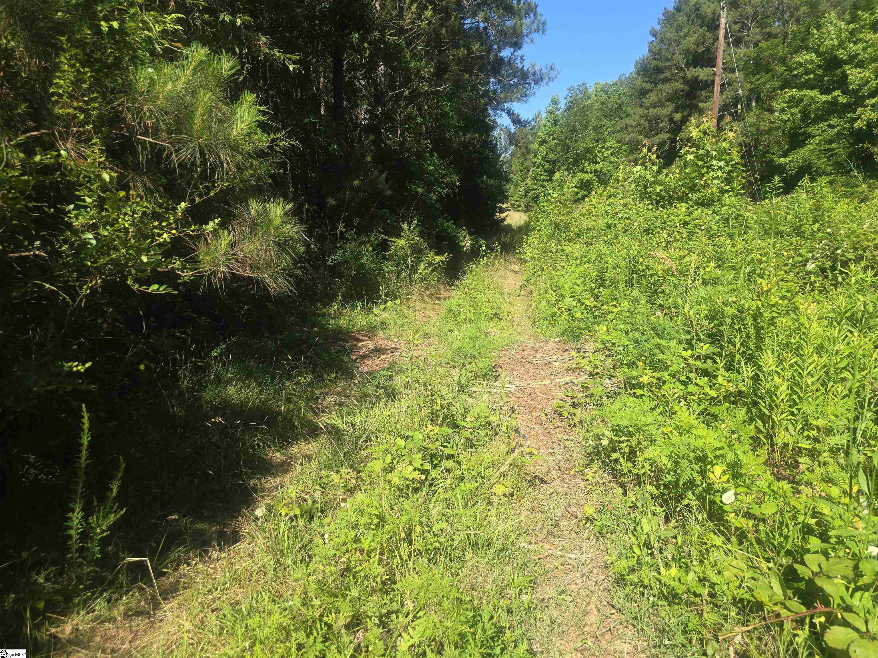 12.3 acres Highway Townville, SC 29689