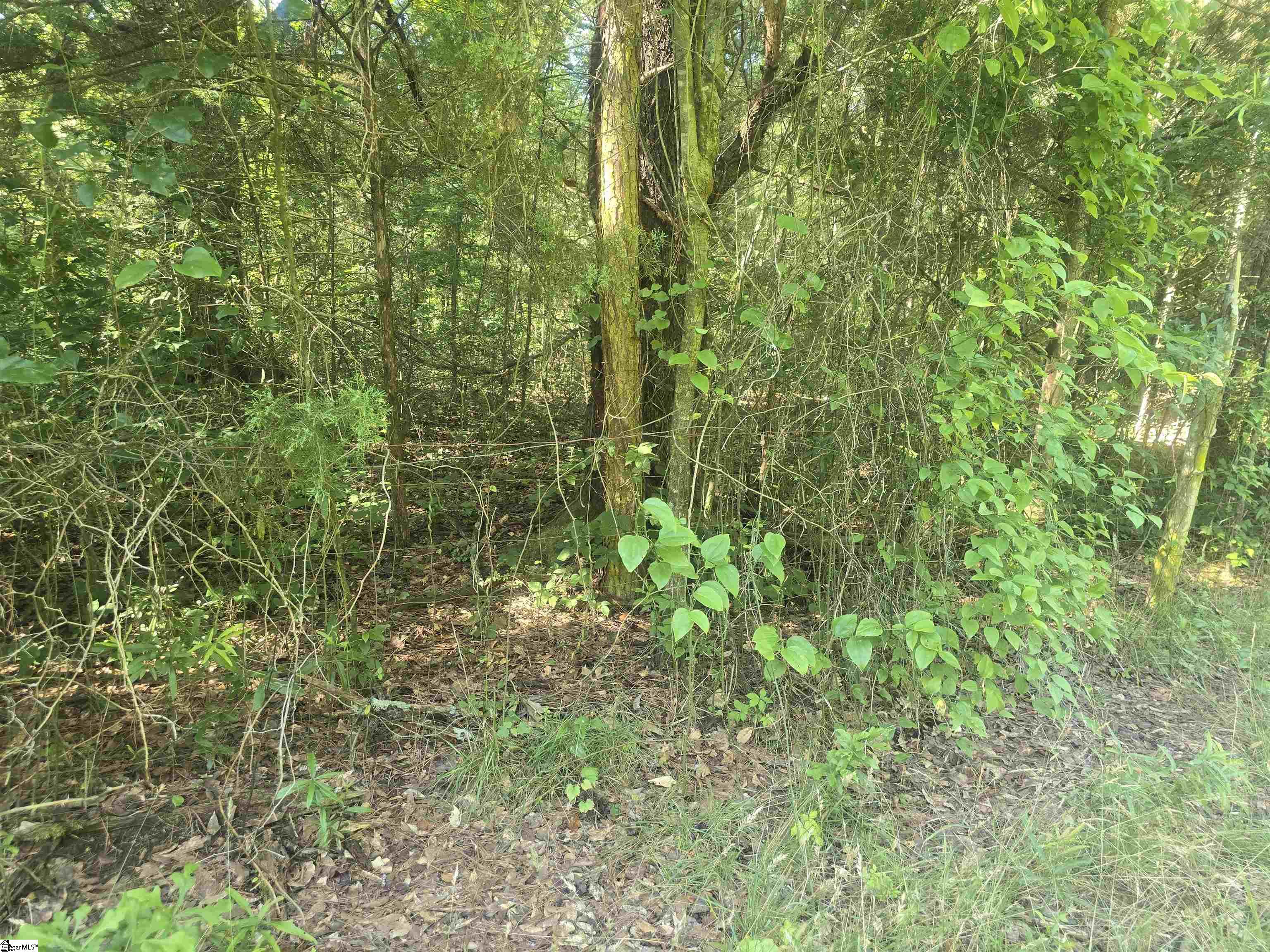 12.3 acres Highway Townville, SC 29689