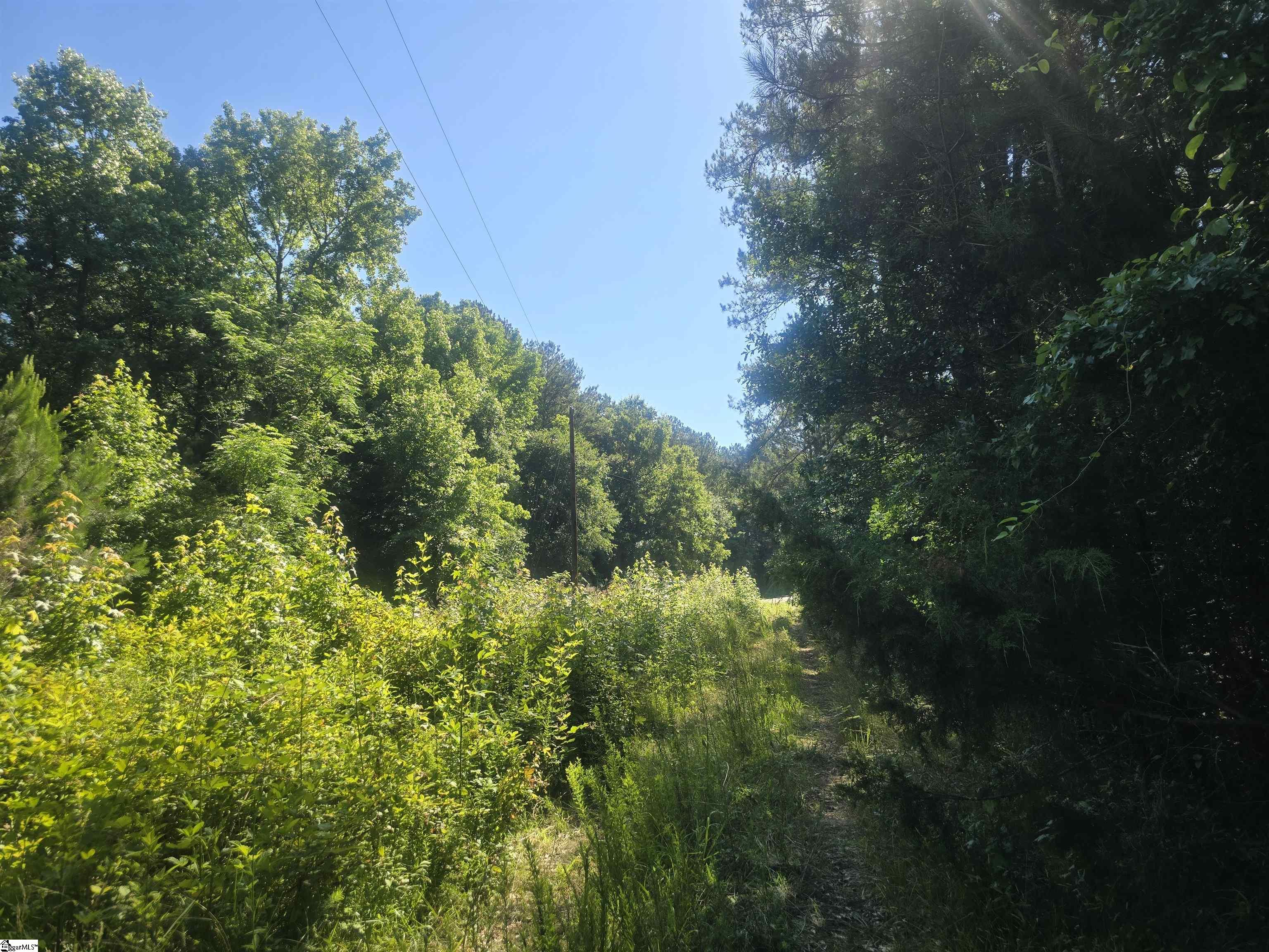 12.3 acres Highway Townville, SC 29689