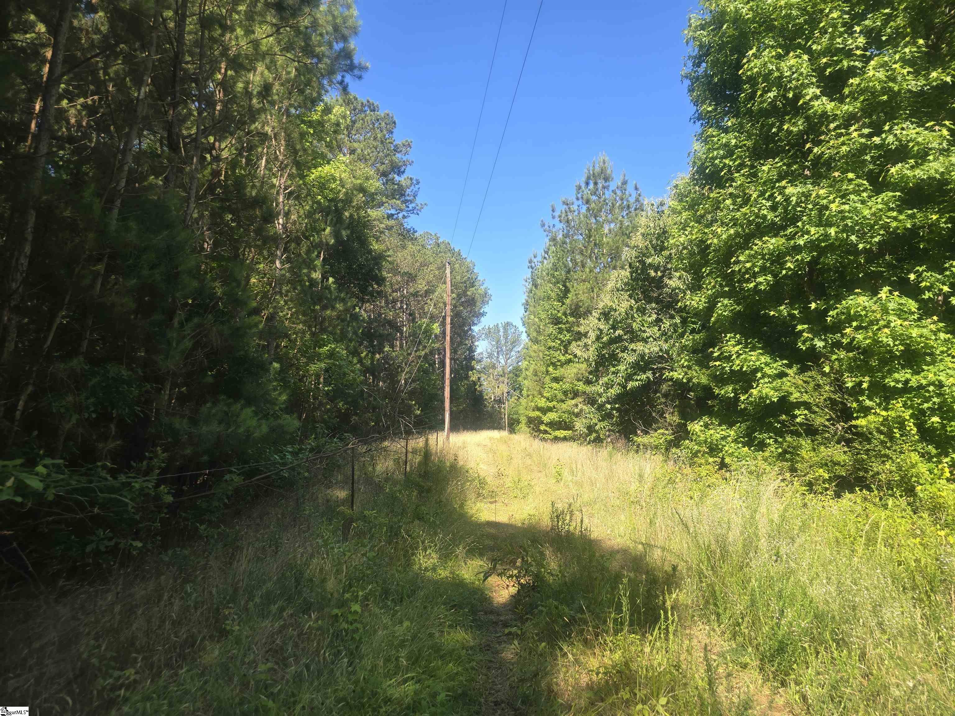 12.3 acres Highway Townville, SC 29689