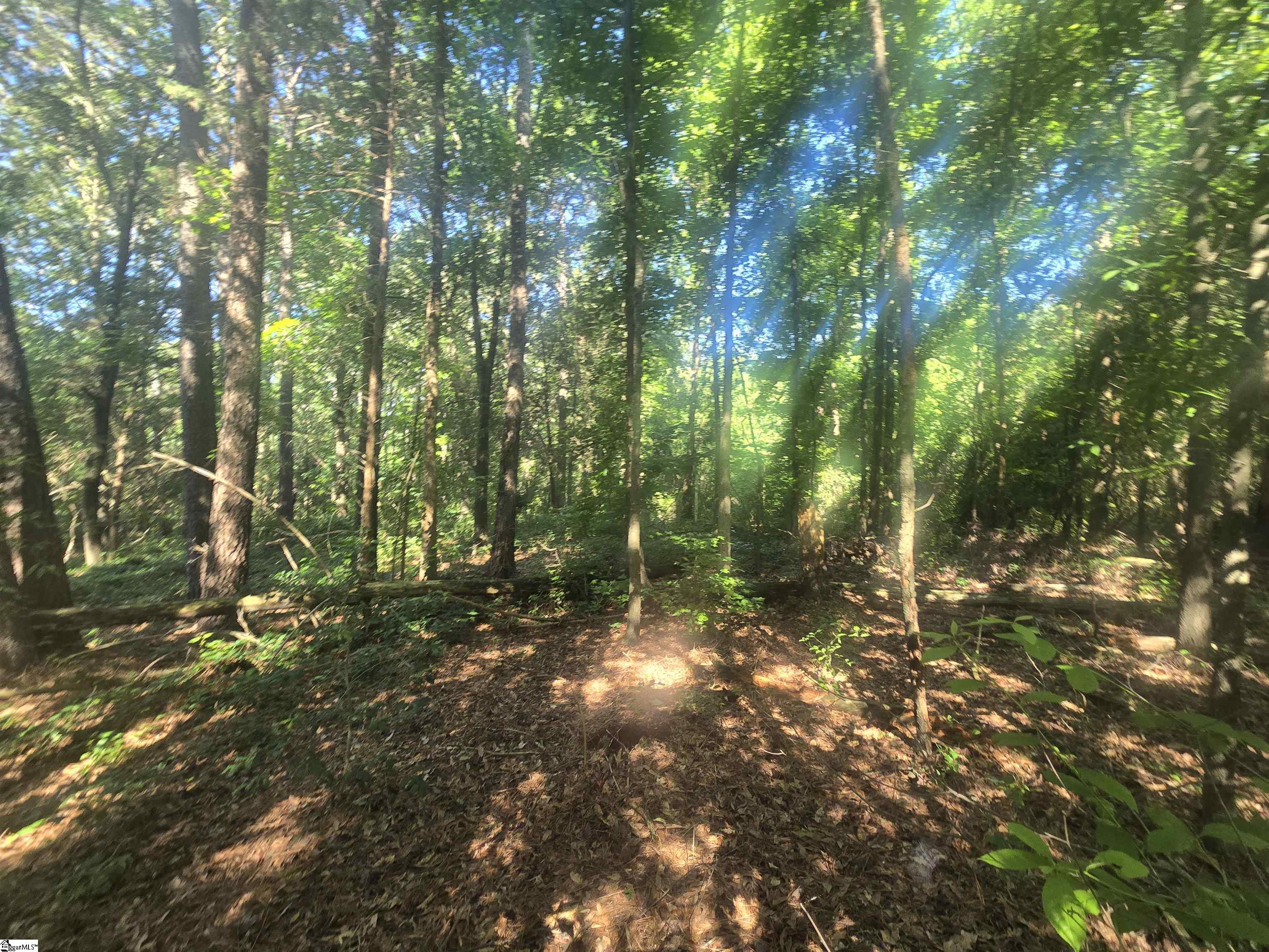 12.3 acres Highway Townville, SC 29689